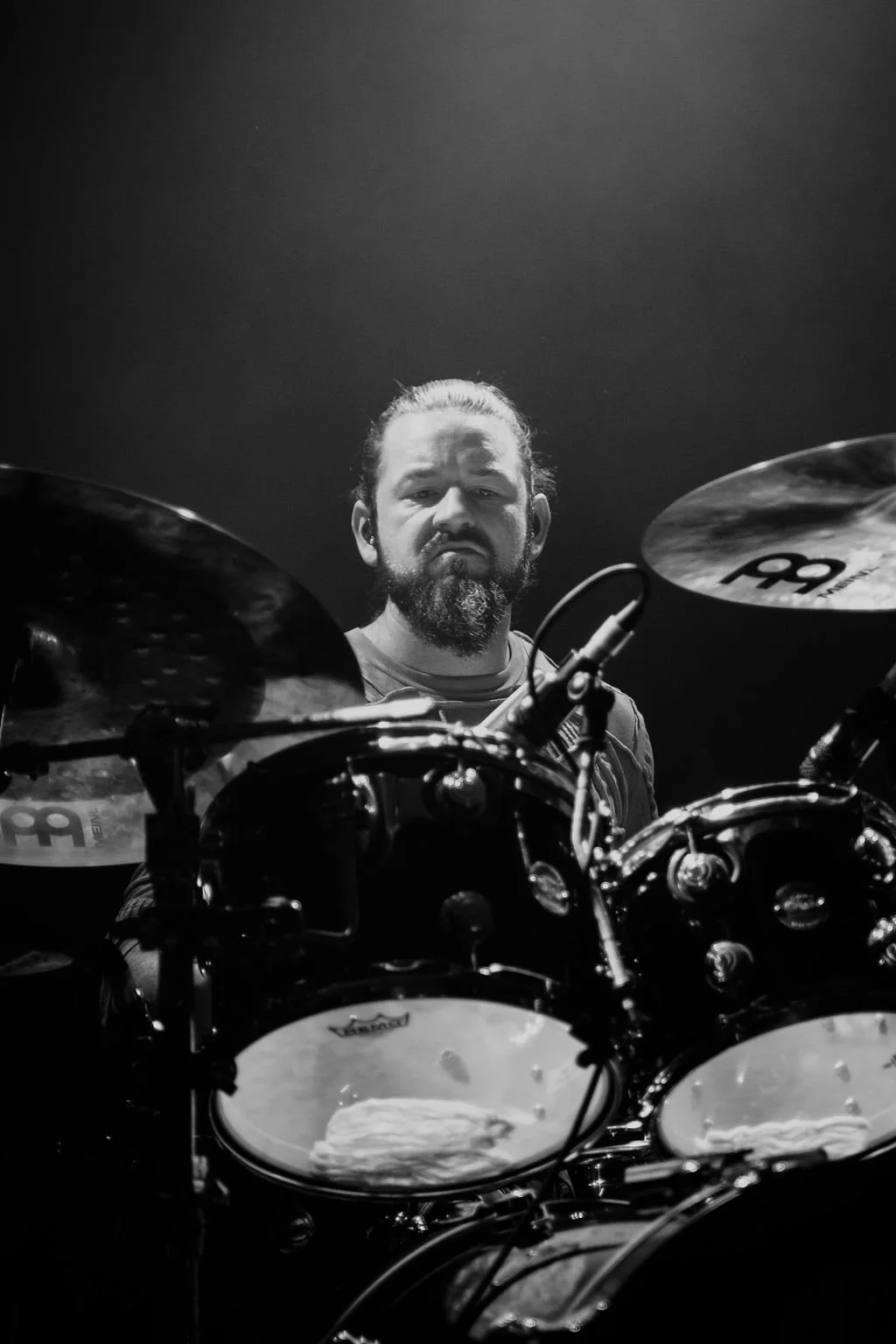 AnimalsasLeaders-44.jpg