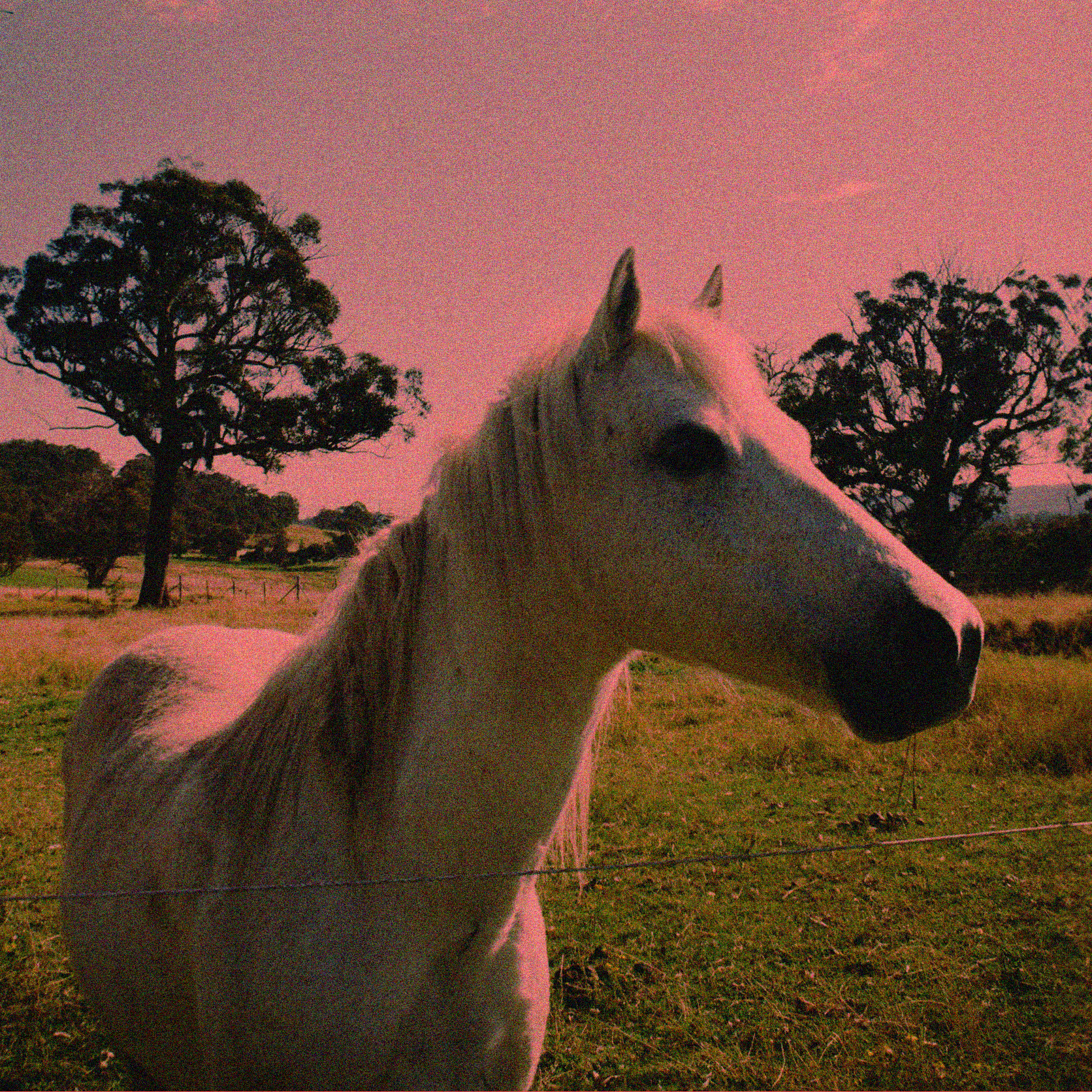 Drift’s ‘Candyland’ oozes shoegaze sweetness