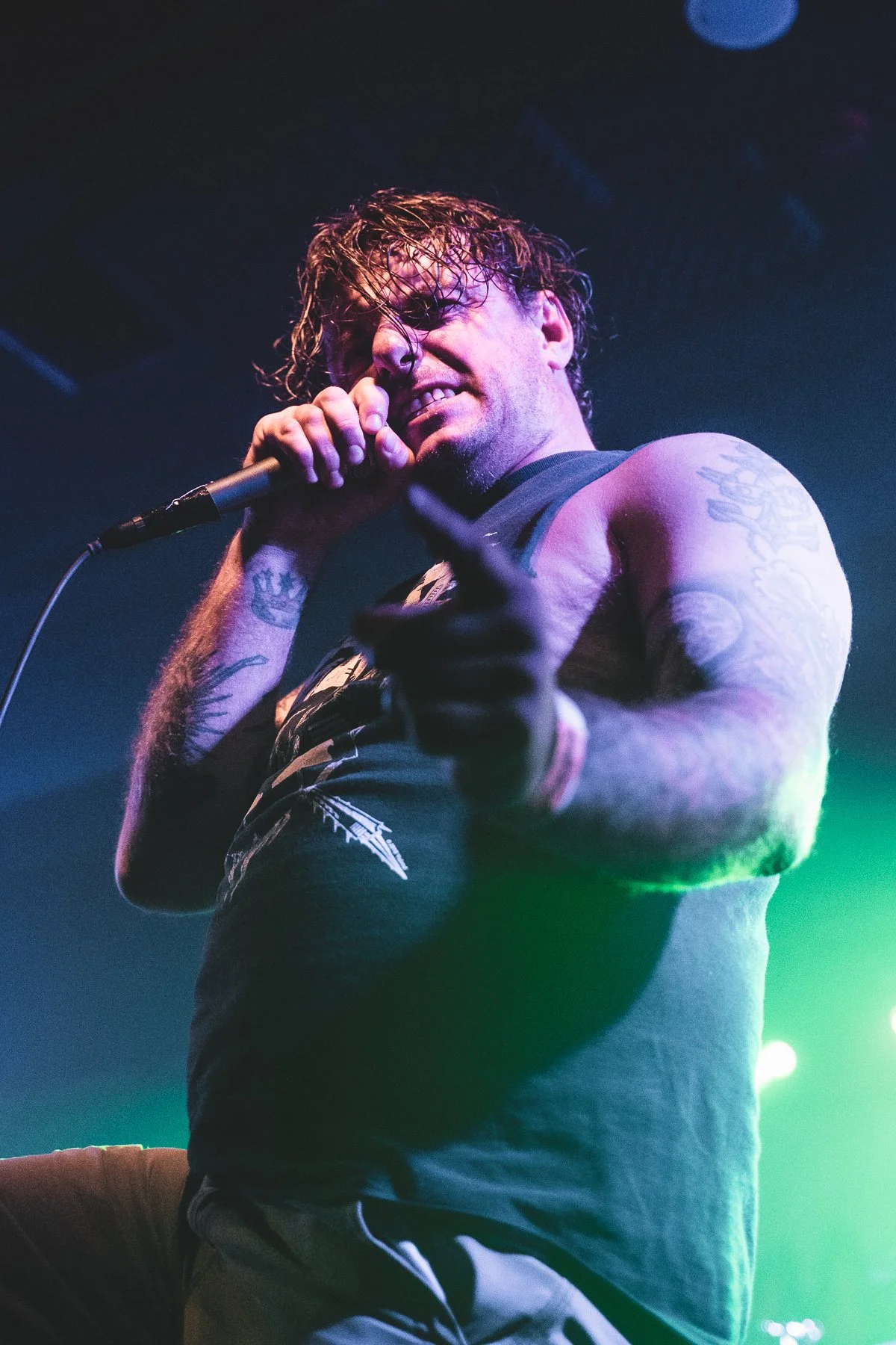 King Parrot 2019
