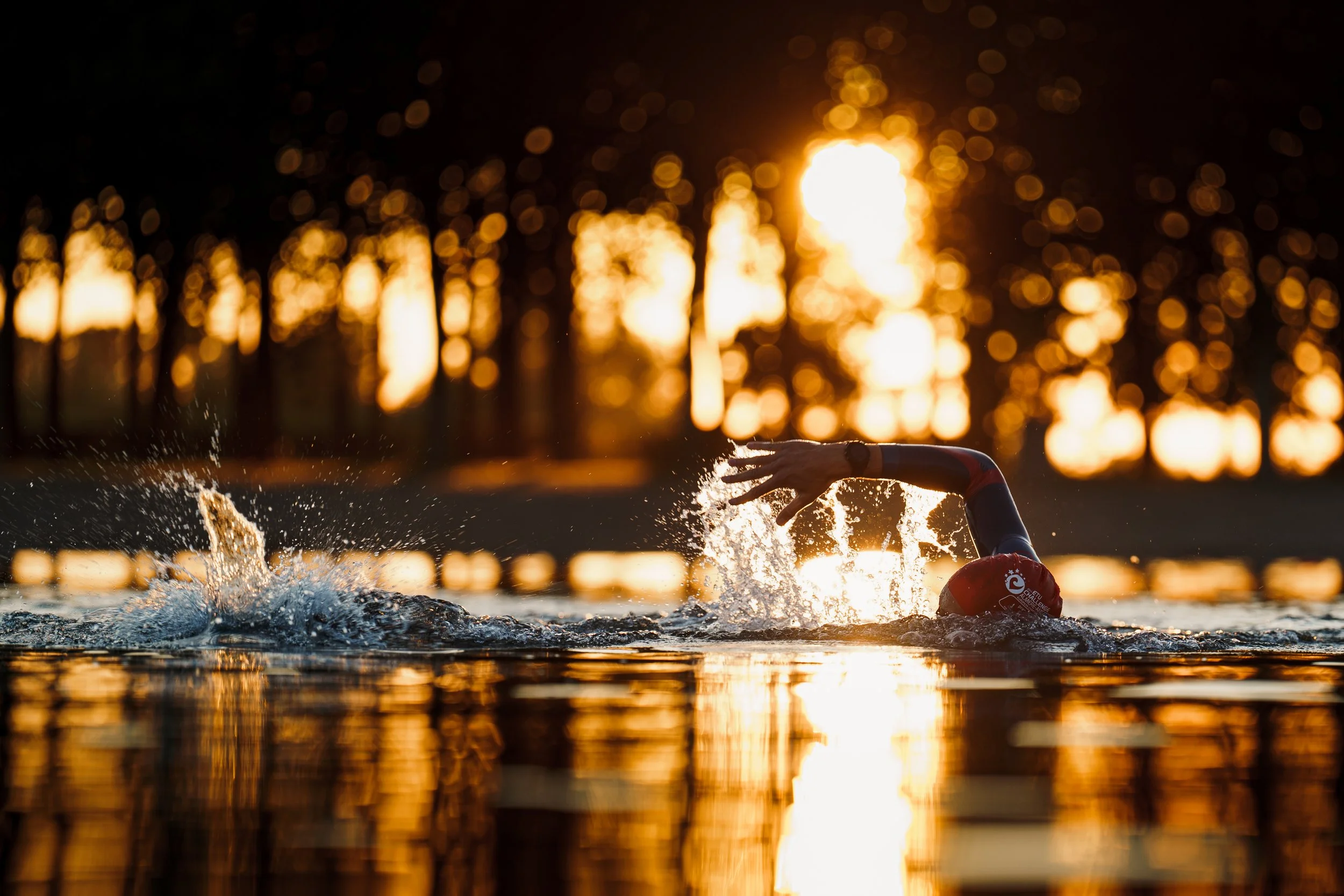 A swimmer in a cap swimming in a lake at sunset, with the sun low on the horizon and trees in the background.