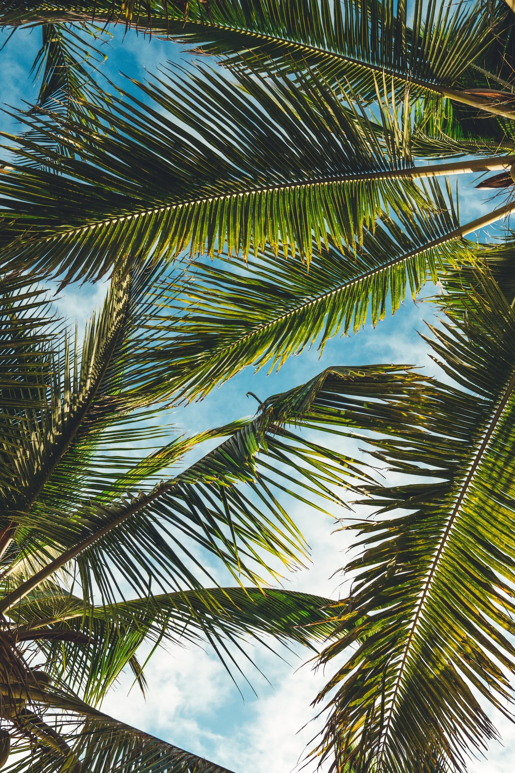 unsplash-image-toB7tKXne7U.jpg