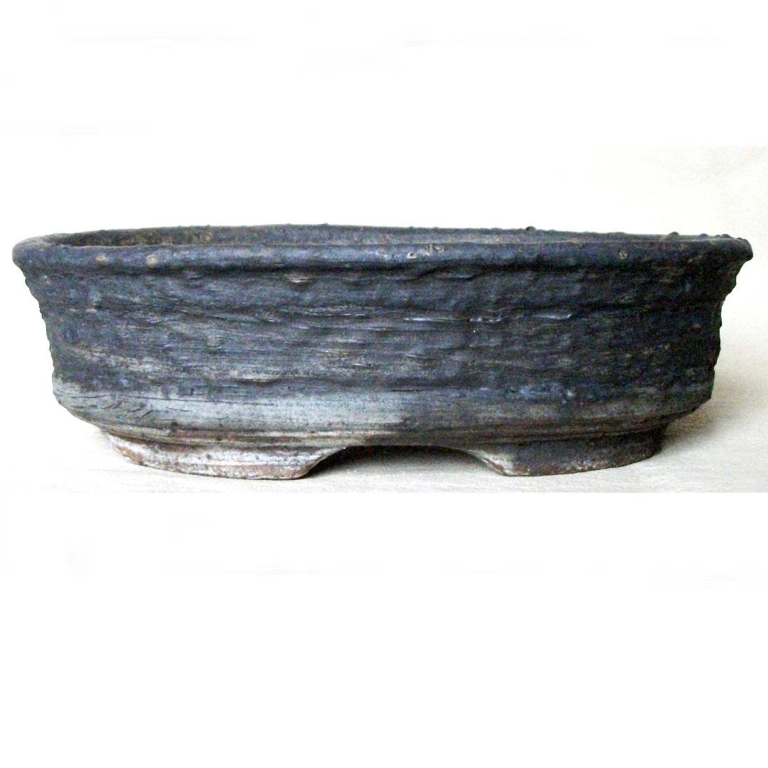 thumbnail (1).jpg