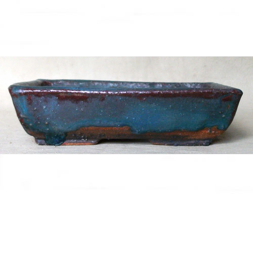 REC2923 ; 6 / 15 cm : 38  ERIN BONSAI