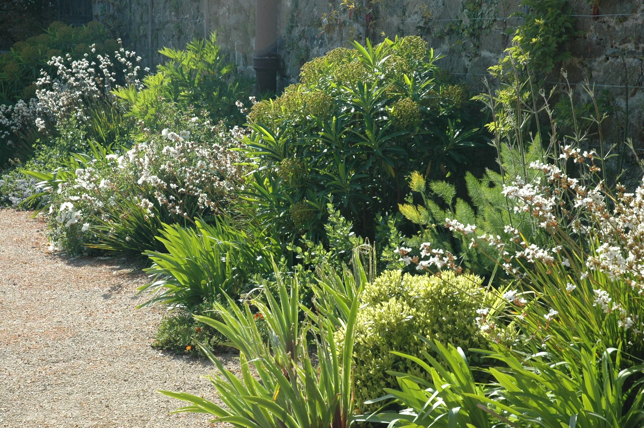 Gravel garden planting in Helston