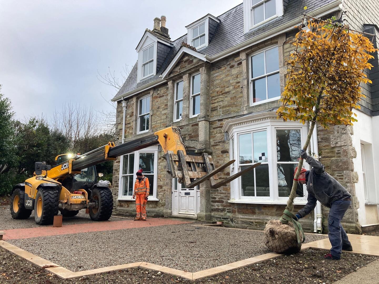 Exciting day for us Truro - 13 pleached Hornbeam trees arriving, expertly positioned by the team at RJ Trevail!
.
.
@wyevalenurseriesltd #pleachedtrees #hornbeam #planting #gardendesign #landscapedesign #gardendesign #landscapedesign