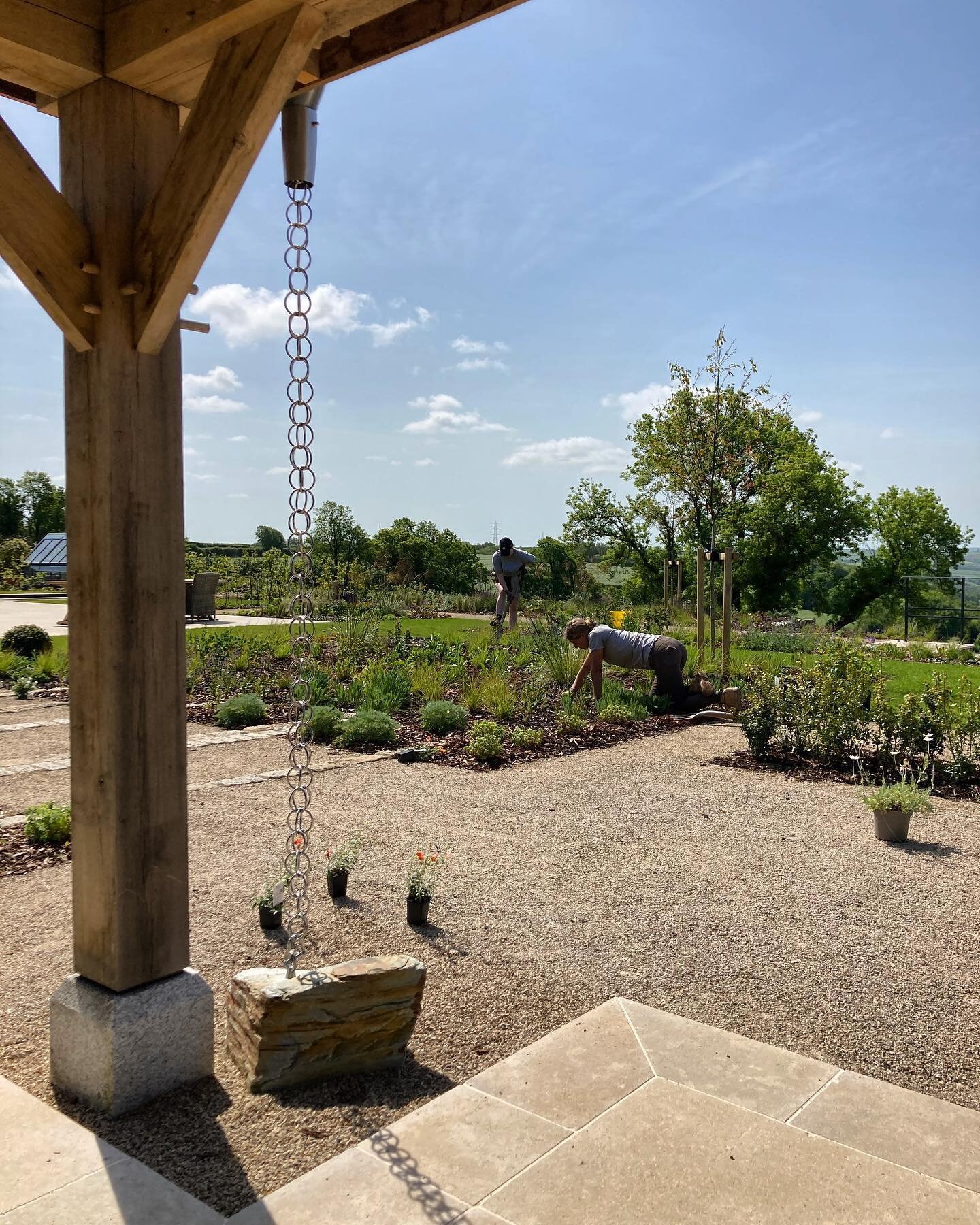 Freya and Claudia tickling one of the perennial &lsquo;meadows&rsquo; at our Wadebridge project in super hot heat&hellip; bring on some rain!
.
.
#gardendesign #rainchain #boulder #slateboulder #gravelgarden #gardenmaintenance