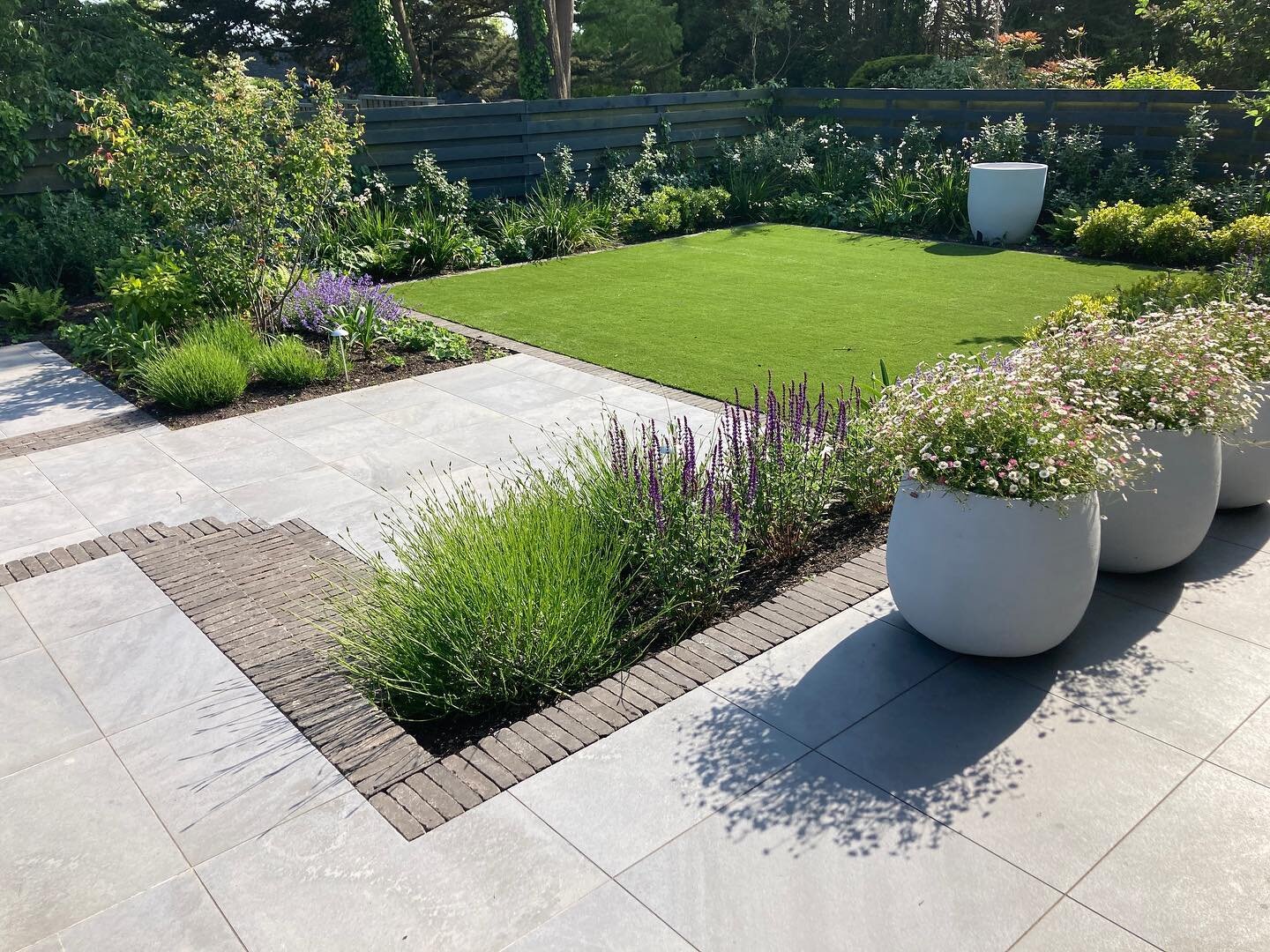 Love a return visit in the sun&hellip;a small Modernist garden we completed last year in Rock. Just need the Olearia traversii &lsquo;Compactum&rsquo; perimeter hedge to grow tall as the ornamentals are doing, need some rain for that to happen!!!
.
.