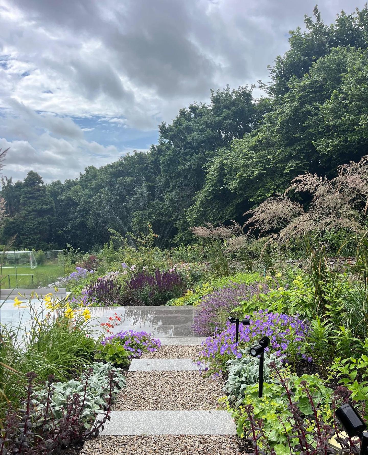Planting establishing well at one of our recent projects in Truro, completed last year. 
.
.
@newquaylandscaping @quornstoneofficial  #gardendesign #plantingdesign #landscapesesign