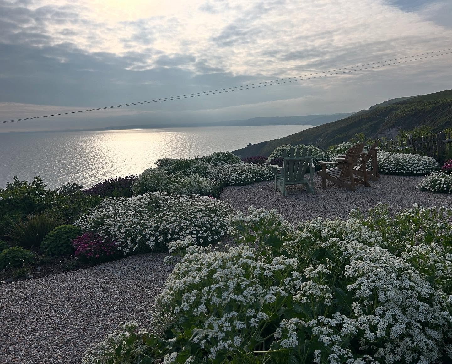 Enjoying the view across Whitsand Bay from the end of one of our favorite gardens planted last year. Perched above the beach it&rsquo;s a tough spot for plants to thrive but doing well so far!! Super excited for Phase 2 further up the cliff! #gardend