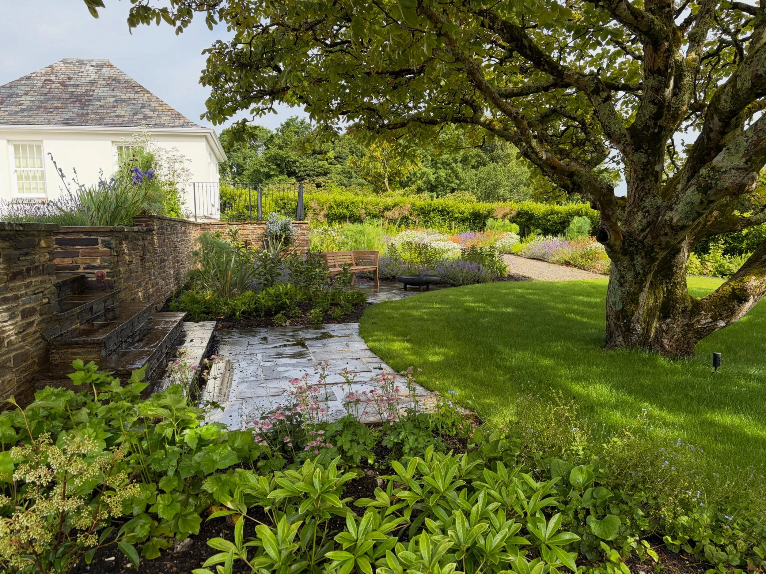 At our Carbis Bay project- and all of our current projects tbh - the recent summer showers has been a godsend! All plants and gardeners alike can&rsquo;t stop smiling! More please! #landscapedesi̇gn #gardendesign #gardendesigncornwall #coastalgarden 