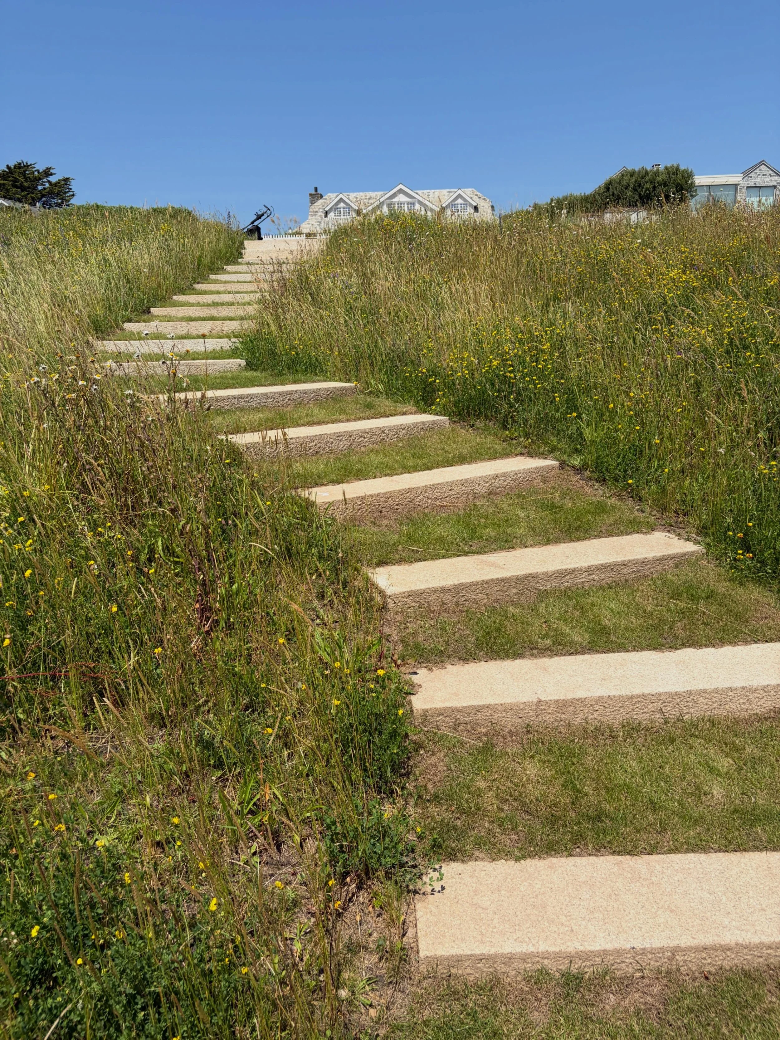 Love the simplicity of this detail at one of our Trebetherick projects. Native meadow + brown granite steps (picked finish). The meadow was laid in March by the team and already looks stunning  #gardendesign #landscapedesi̇gn #summermeadow #meadow #g