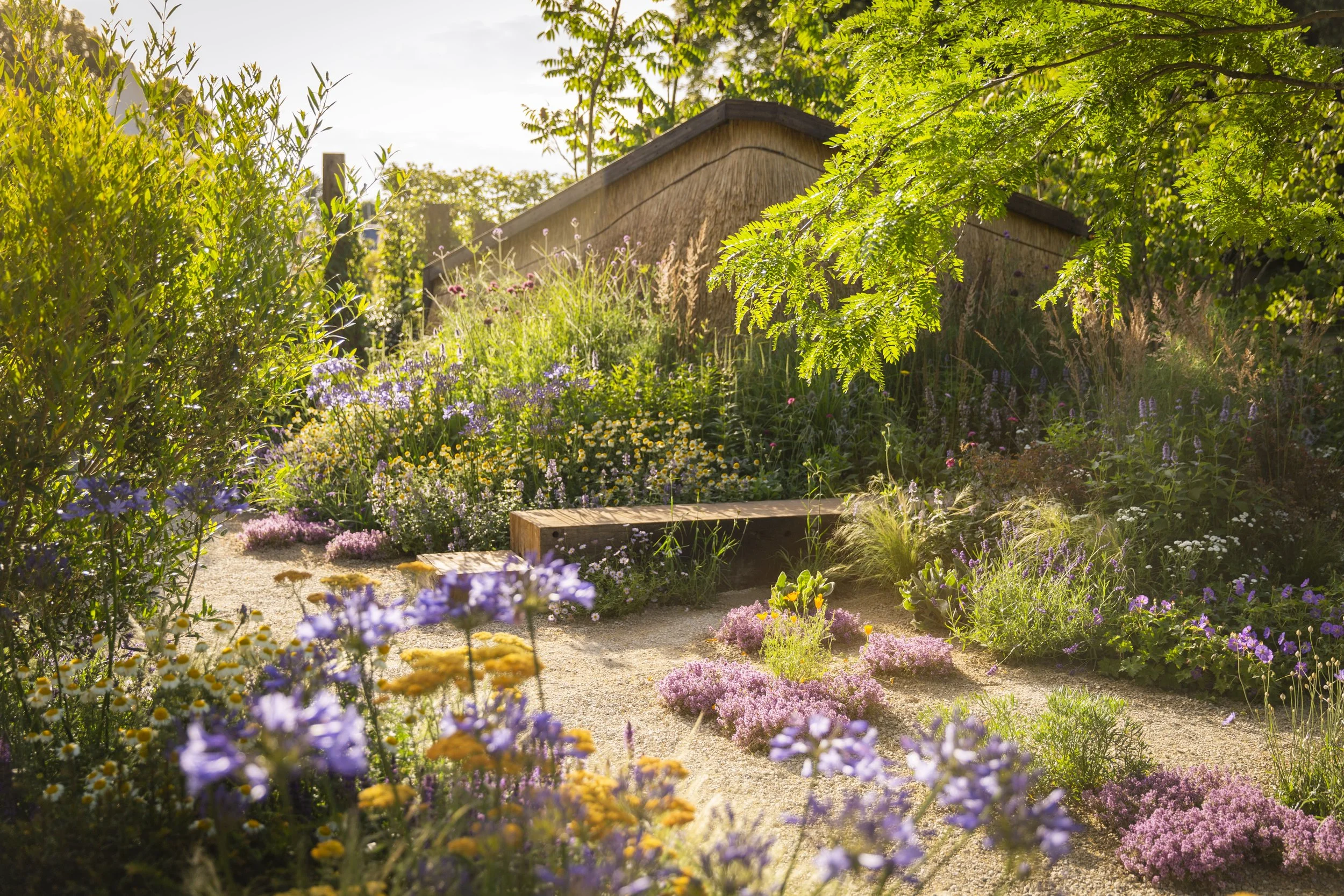 Adventures at RHS Hampton Court