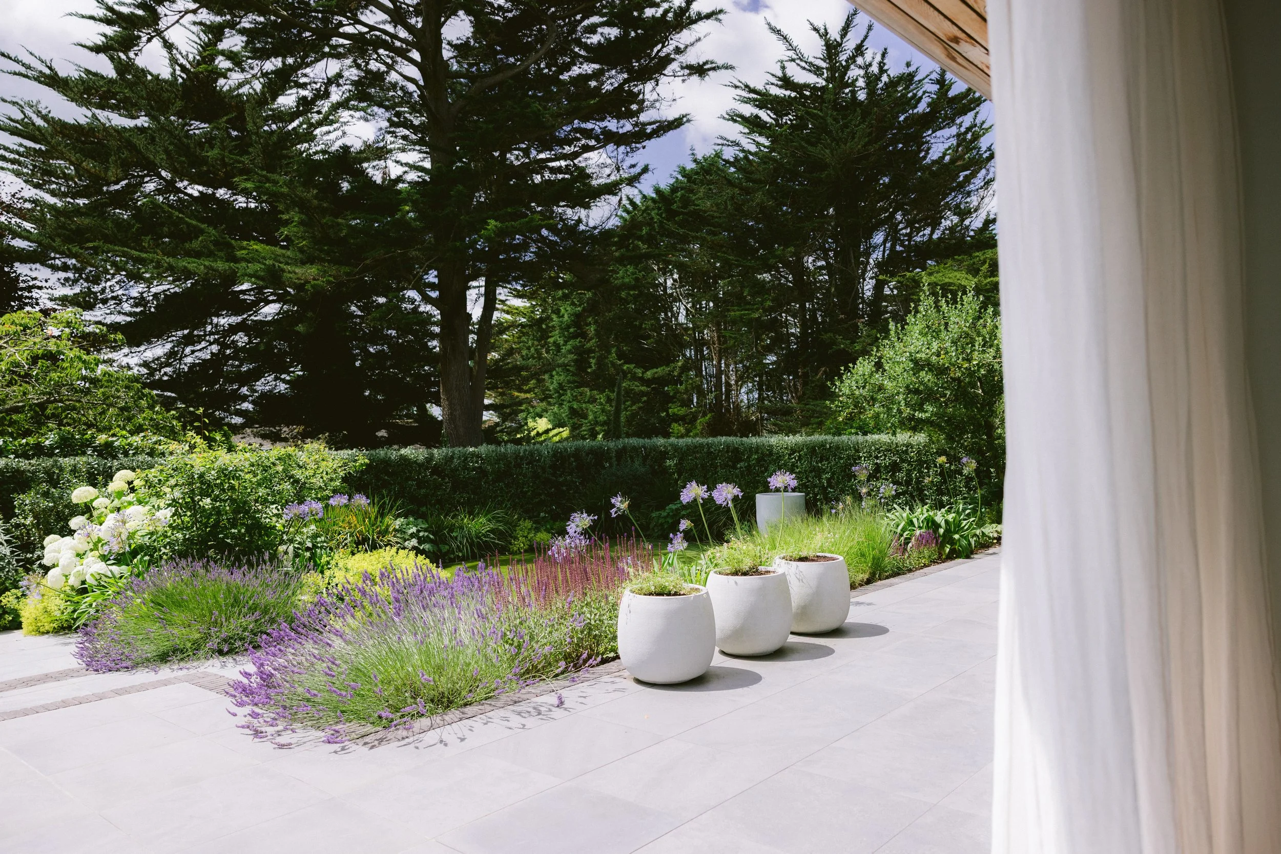 View from a porch or patio overlooking a garden with purple and white flowers, green shrubbery, tall trees, and a cloudy sky in the background, with a white curtain on the right side.
