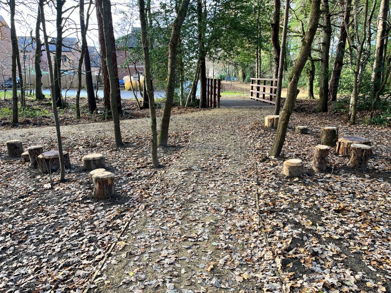 Timber stepping logs.jpg