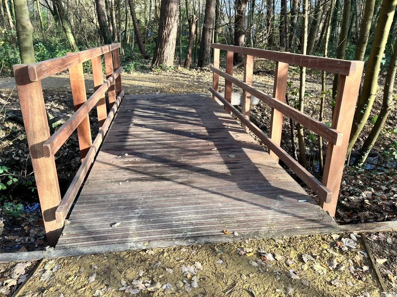 Timber Bridge.jpg