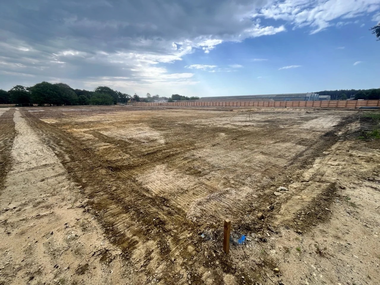 dig area.jpg