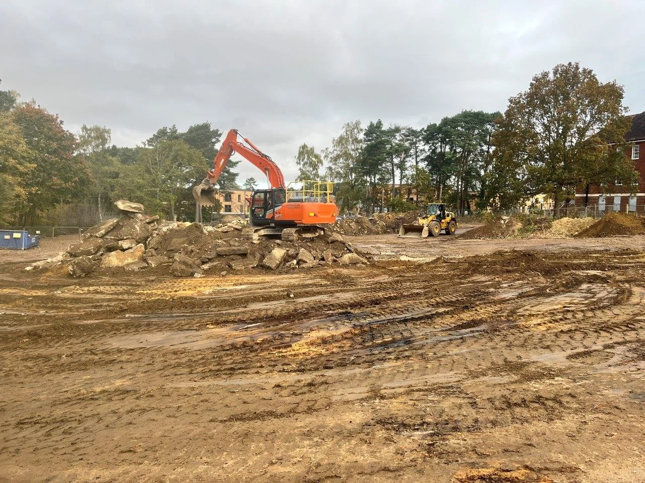 Bordon Parcel 3.1 - Site Clearance