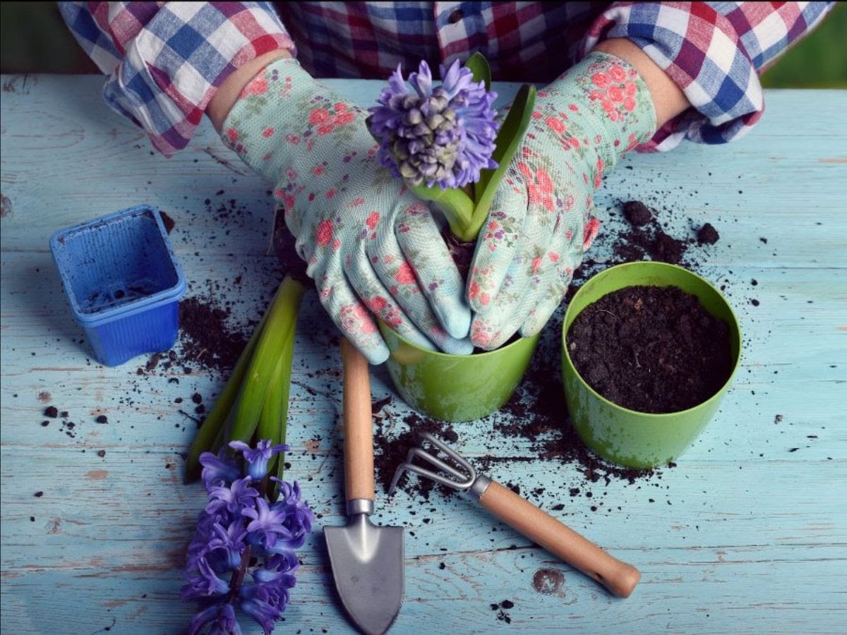 Love Your Back - Shaftesbury Chiropractic