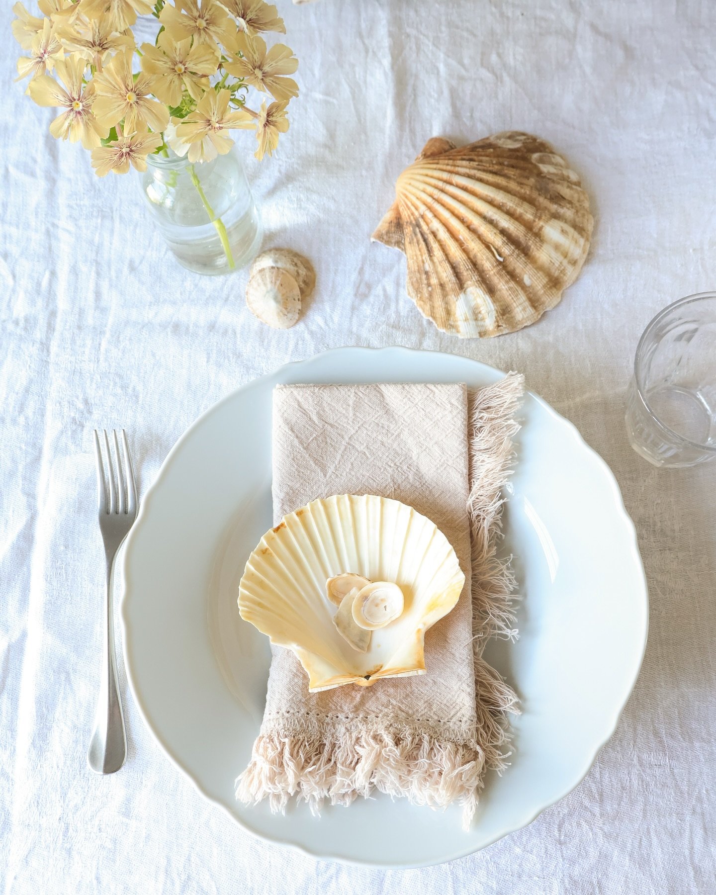 SEASHELL whites 🐚 🤍

#emilyscottfood #acookandherkitchen #seaandshore #timeandtide #homeshores 

📸 @emmacbourton.