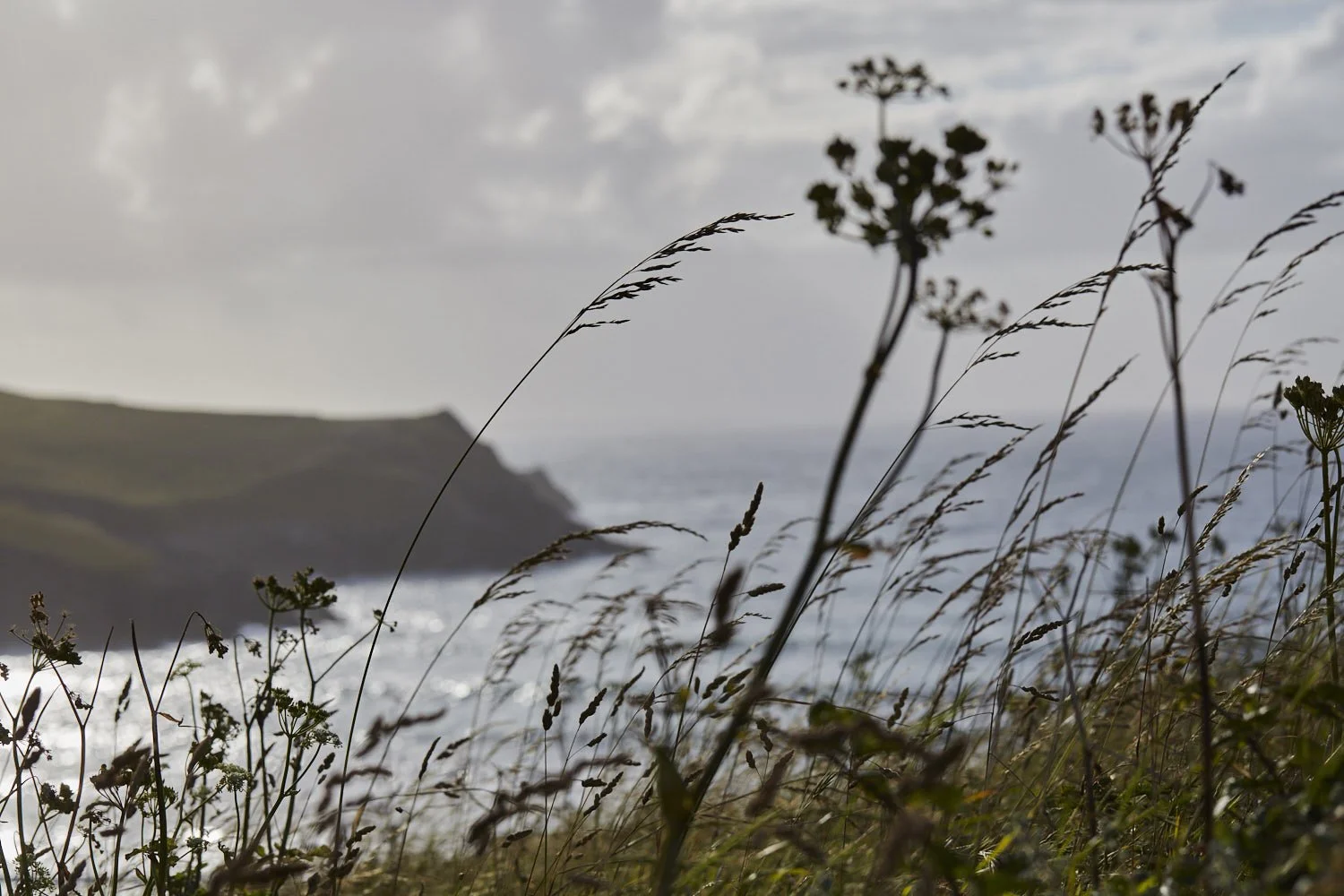  Seasonal food, for the   everyday table  
 Simple dishes shaped by the season, wherever the kitchen may be 
 Meet Emily Scott 