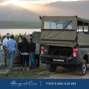 Benguela-Cove-Vineyard-Safari-Wine-Tasting+(1).jpg