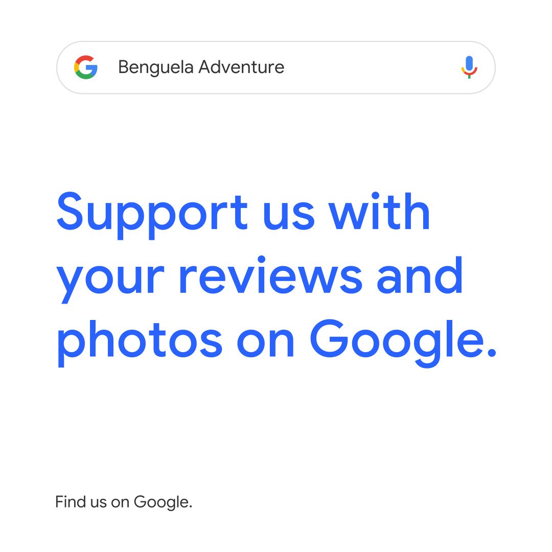 Review us on Google