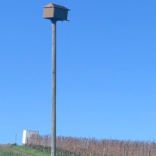Benguela-Cove-Bird-Tower.jpg