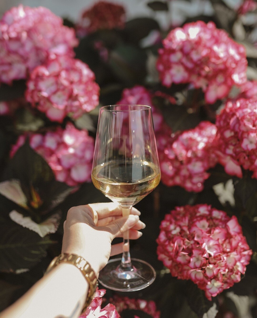 Going on a little getaway this weekend. Guess where? 🥂
.⁠
.⁠
.⁠
⁠
#poppysmicker #travelblogger #blogger #travelphotography #canon #photographer #travels #exploremore #instatraveling #travelblog #igtravel #bestvacations #hotel #beautifulhotels #getaw
