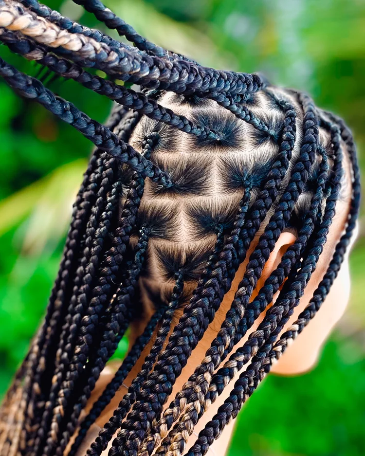 Box Braids