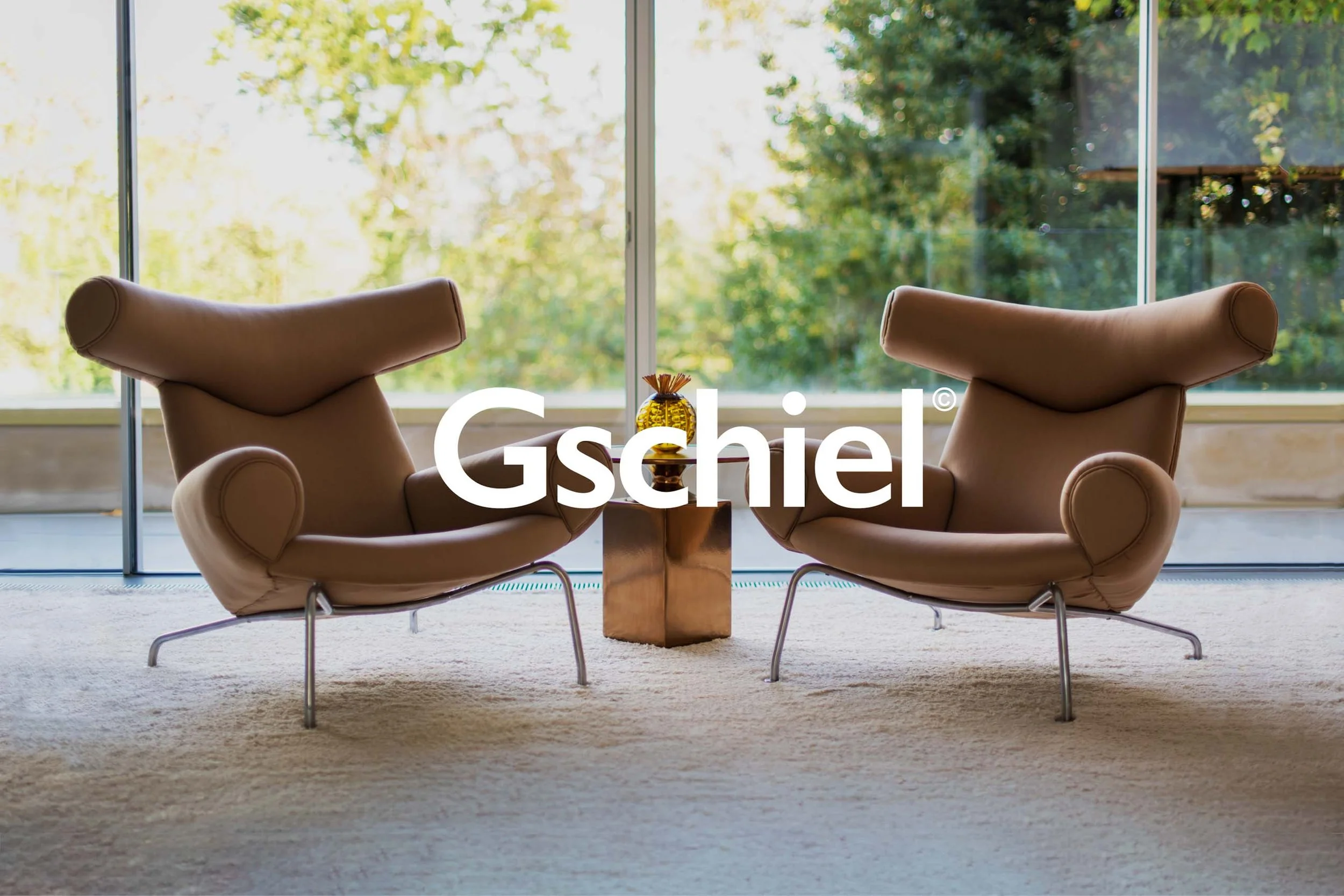 Gschiel-HNWI-branding.jpg
