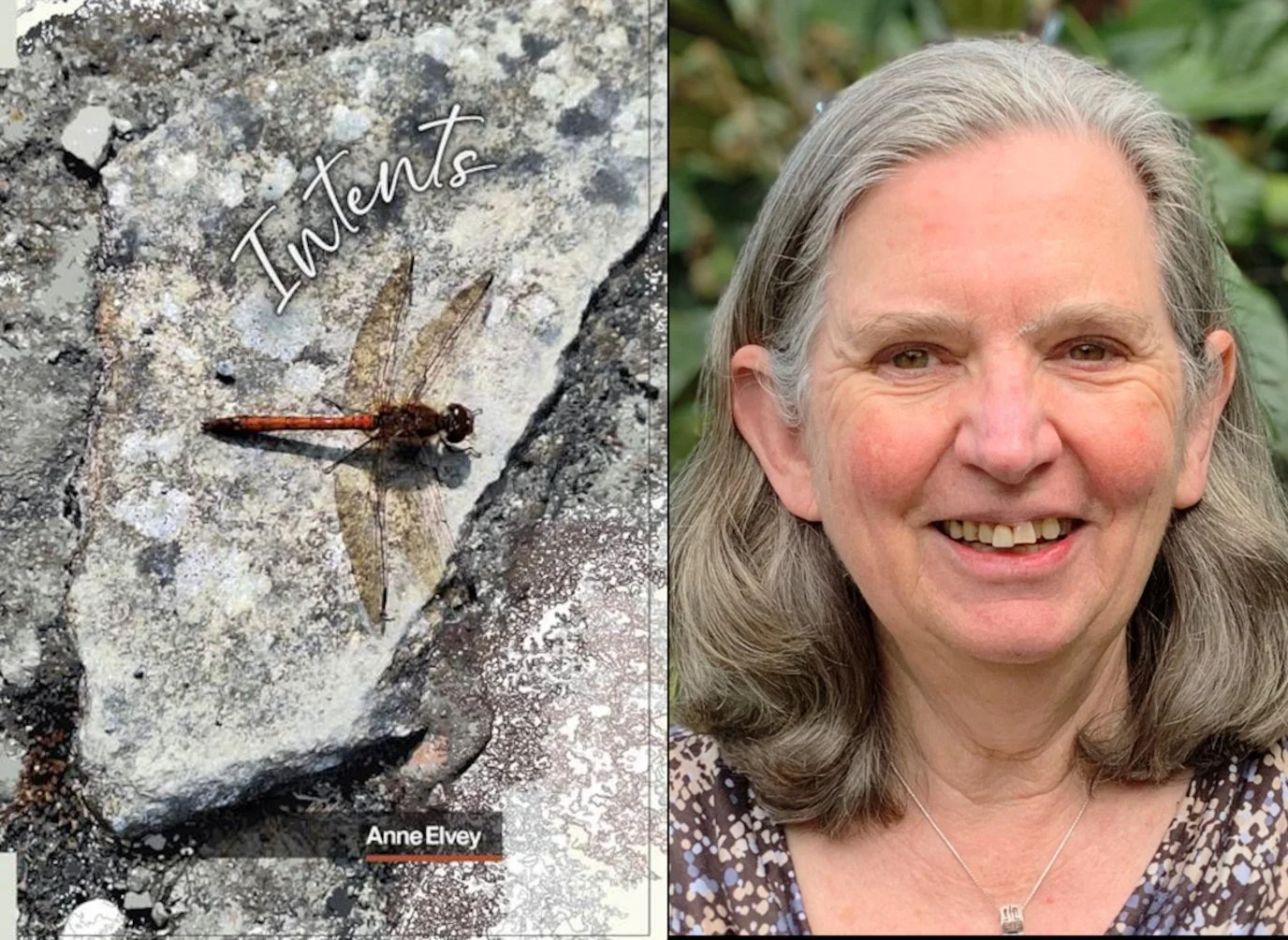 Anne Elvey @ Stingo Poets