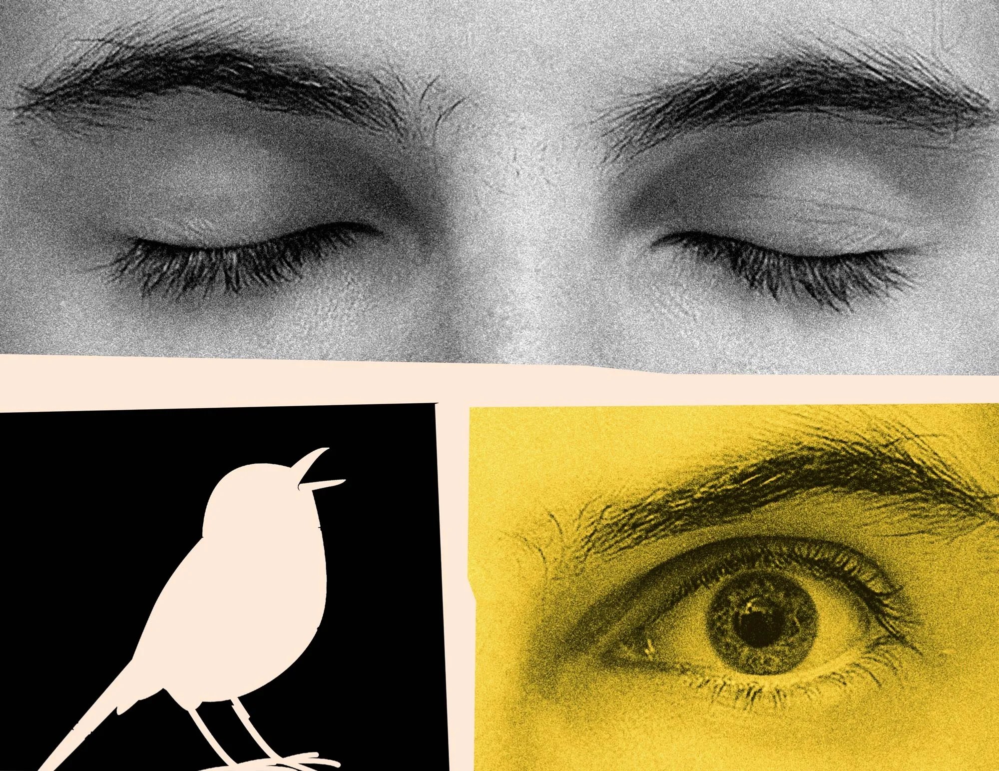 Awake Together: Poems of Life (Castlemaine State Festival)