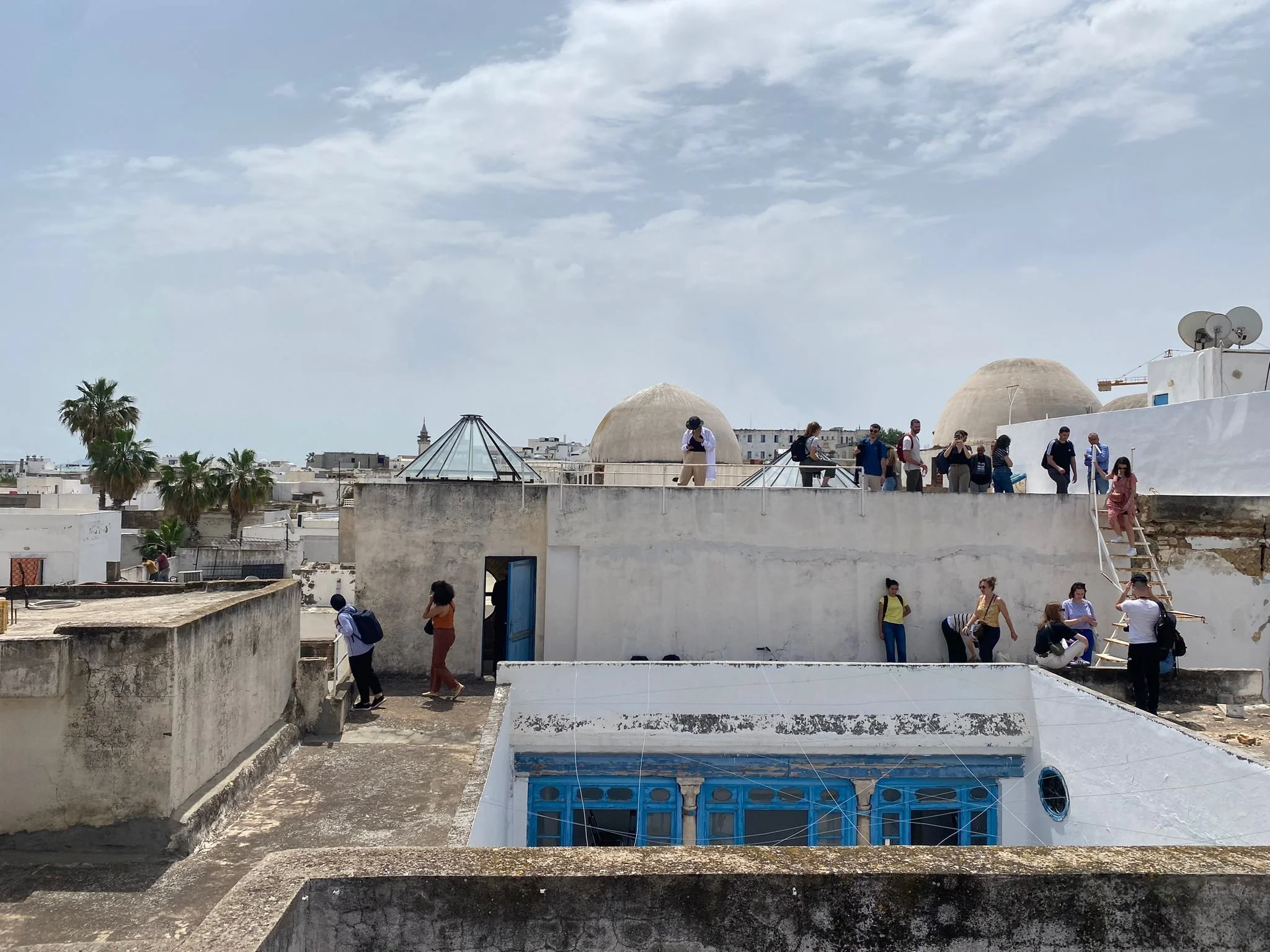 WhatsApp Image 2023-08-03 at 13.37.54.jpeg