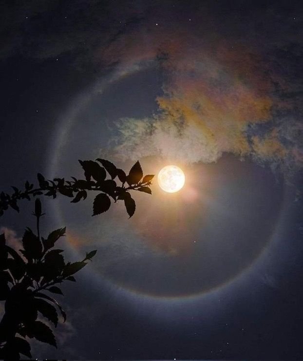 Day 2 Full Moon in Taurus Lunar Eclipse