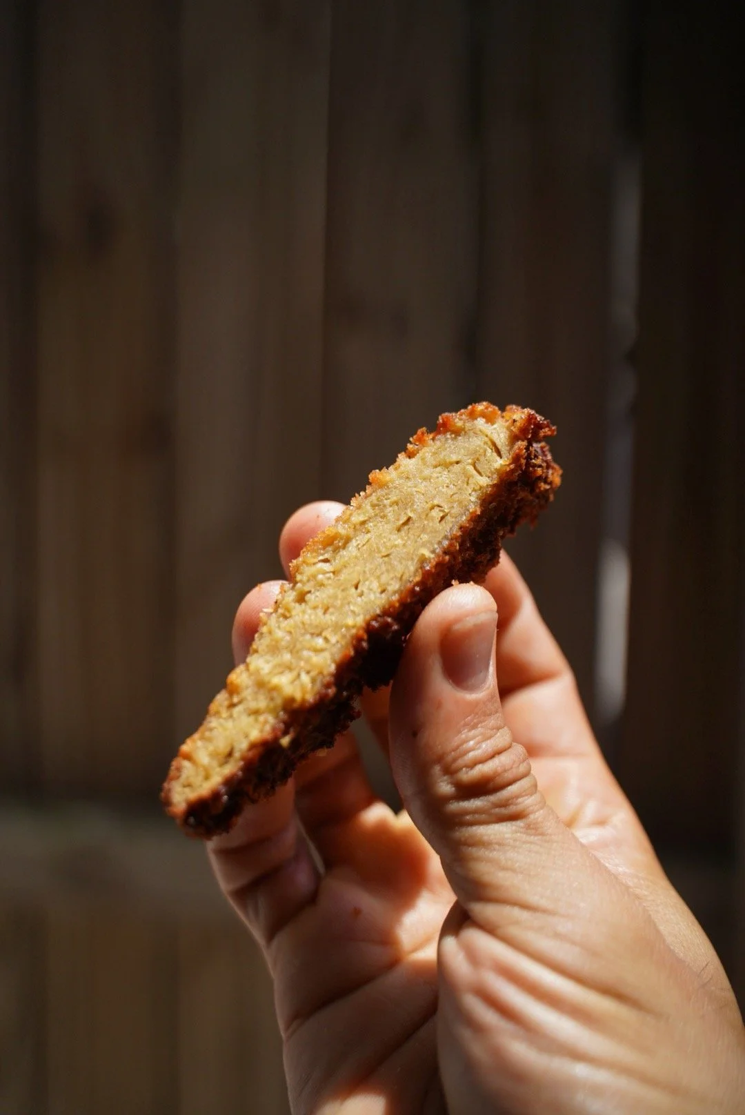 Seitan Katsu