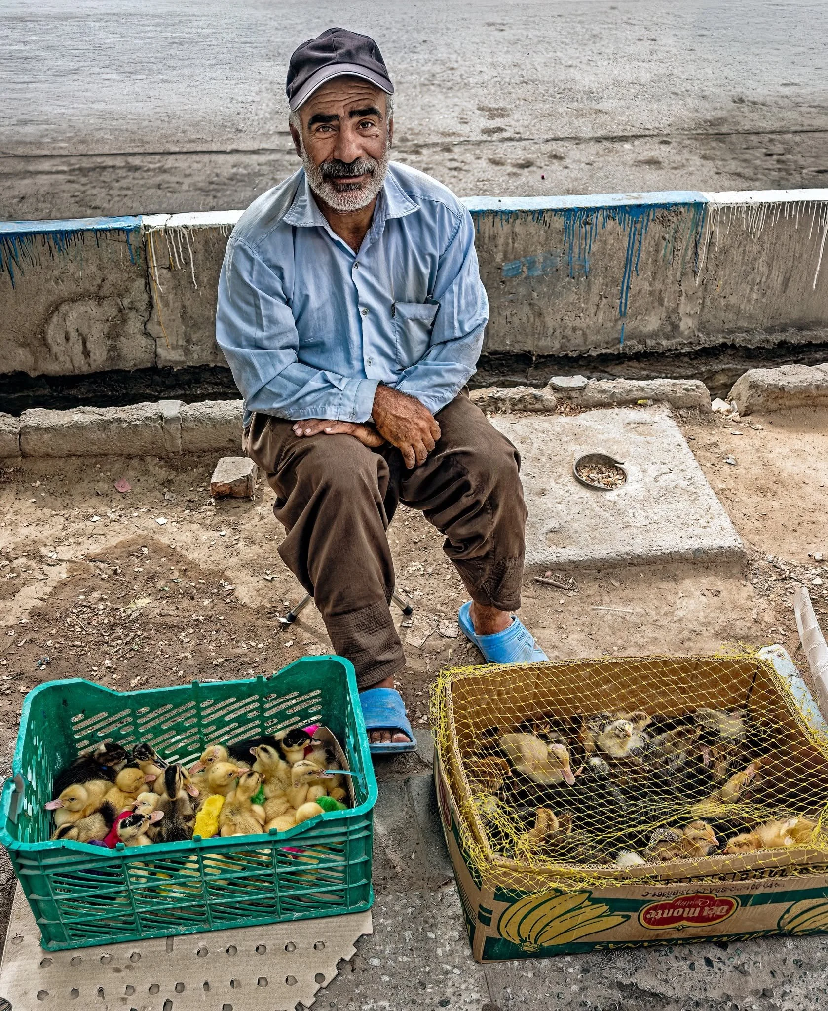 Ducks and Chicks! Yazd, Iran, 2016 