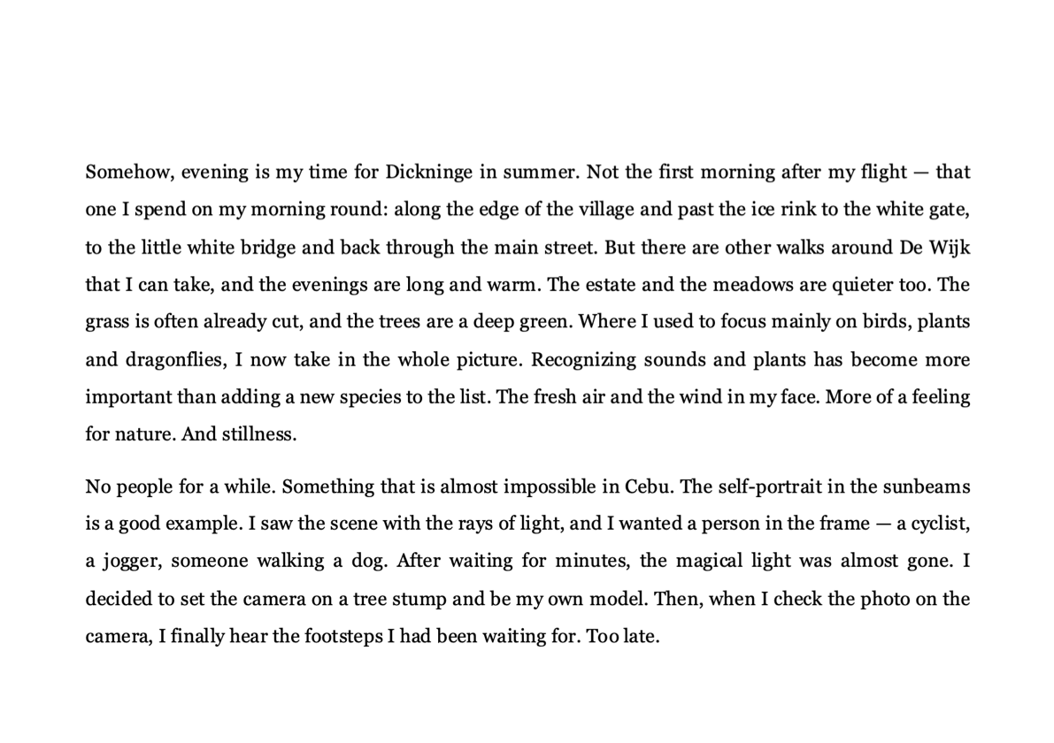 Booklet Dickninge_eng_21.png
