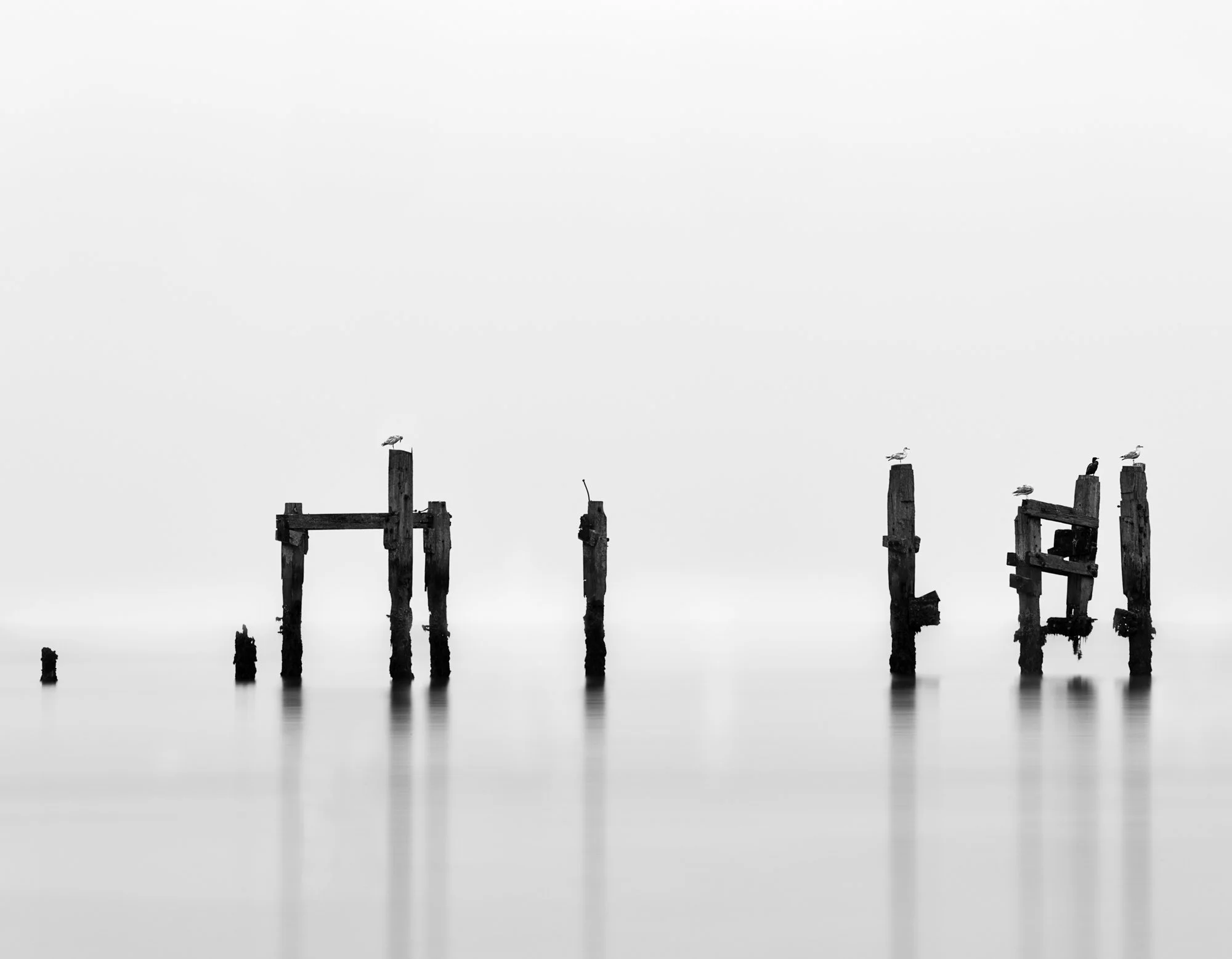 Erosion_of_Purpose.jpg