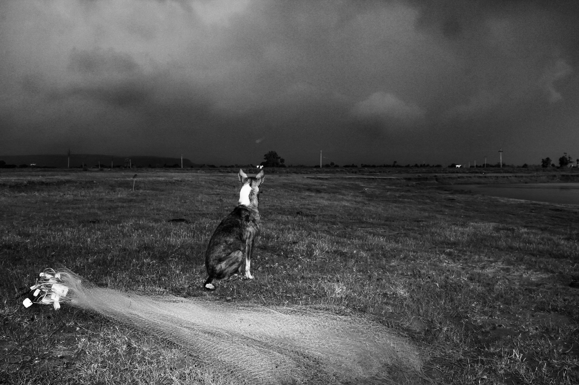 09.jpg