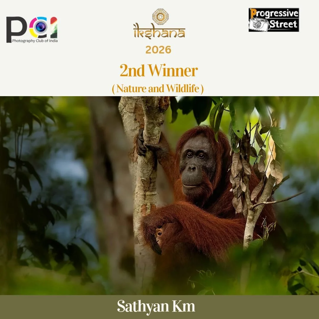 WhatsApp Image 2026-03-08 at 11.55.41 (2).jpeg