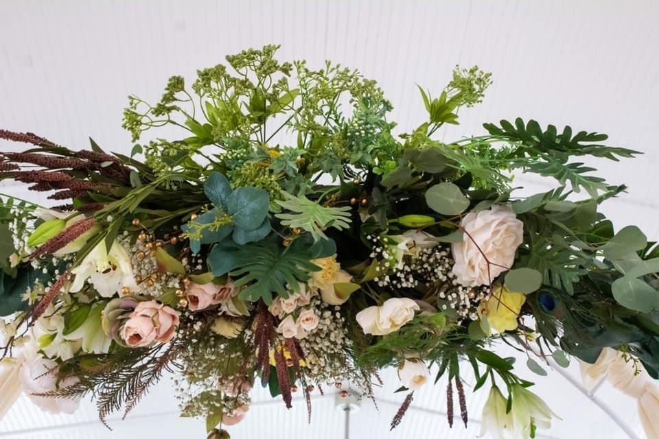 image_6483441 (7).JPG