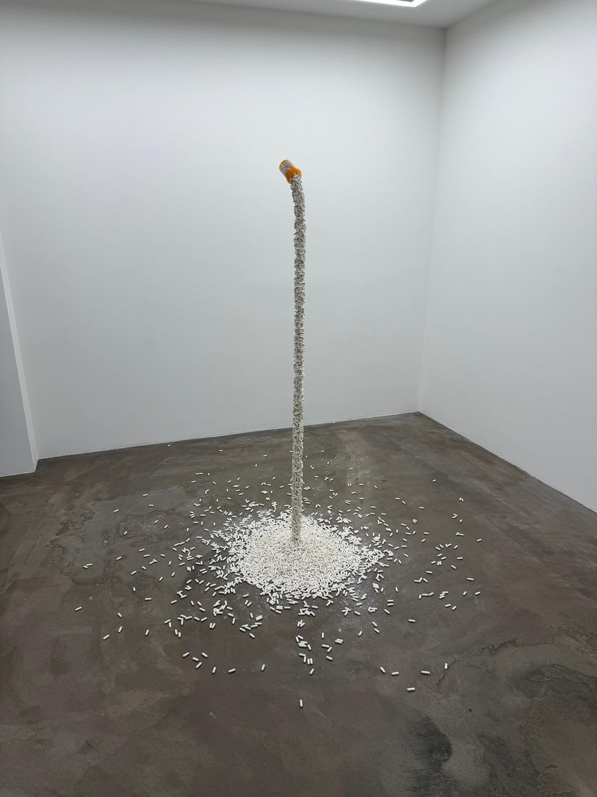 WhatsApp Image 2026-03-24 at 12.40.27.jpeg