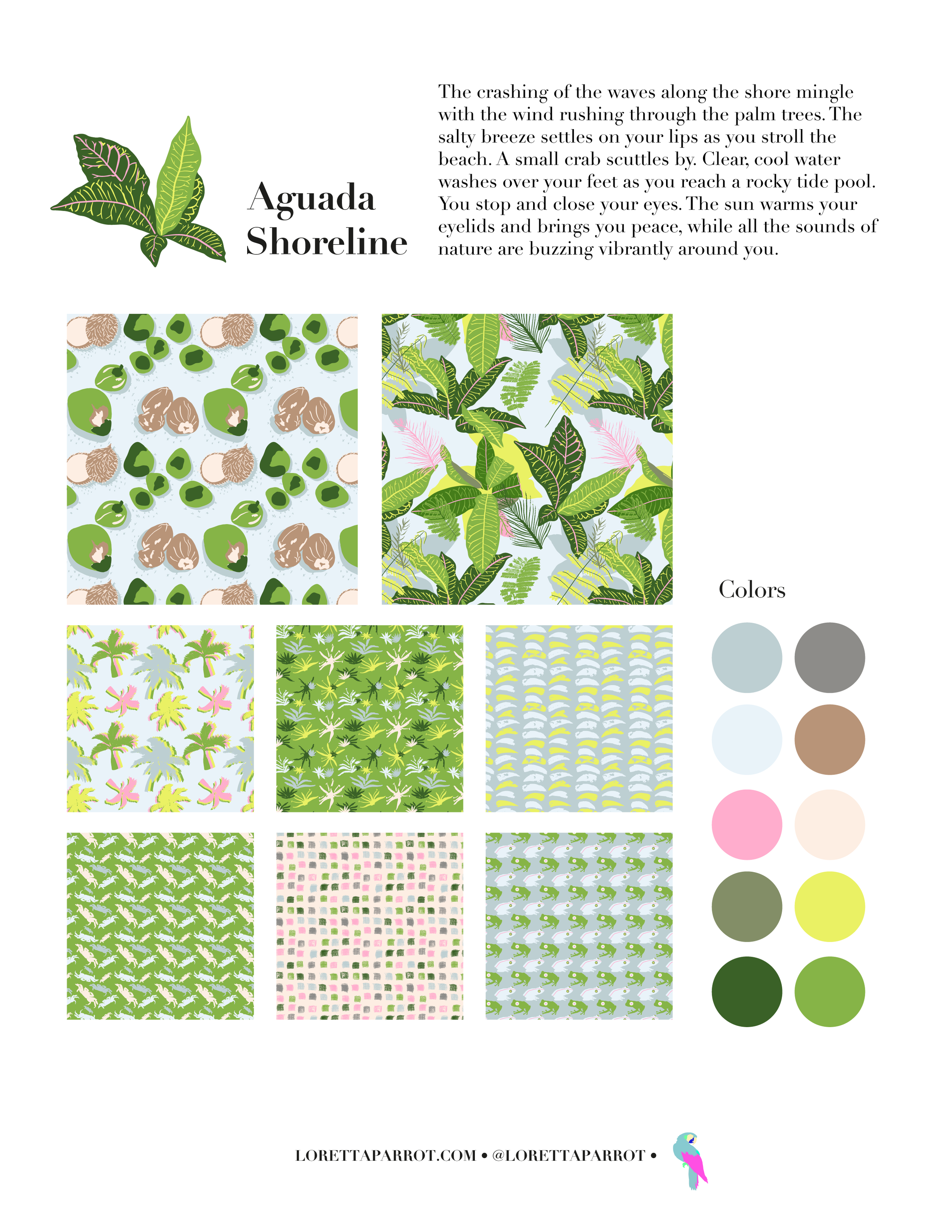 AguadaShoreline_2.6.22-01.png