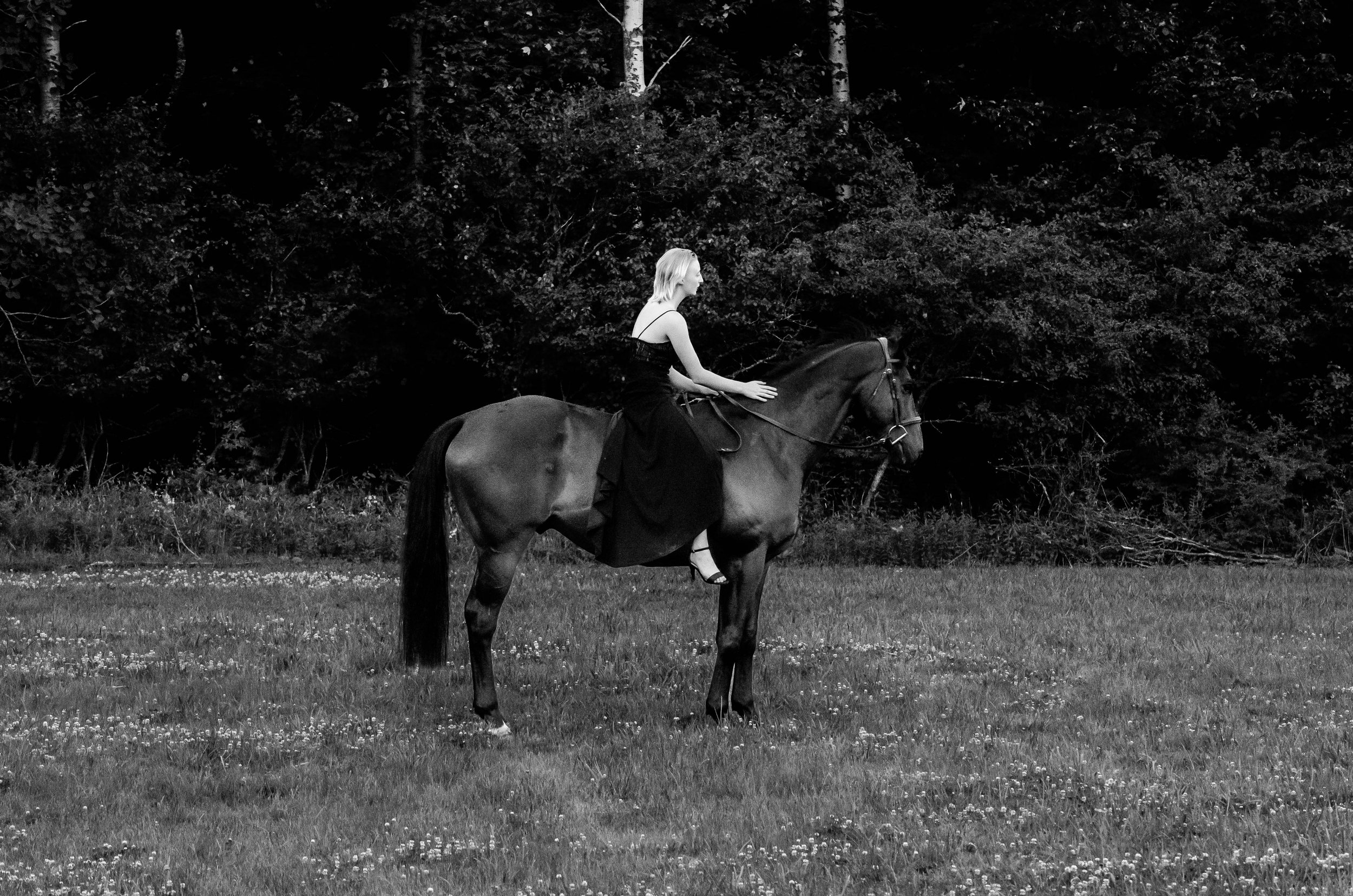 20220629ROARY-16bw.jpg