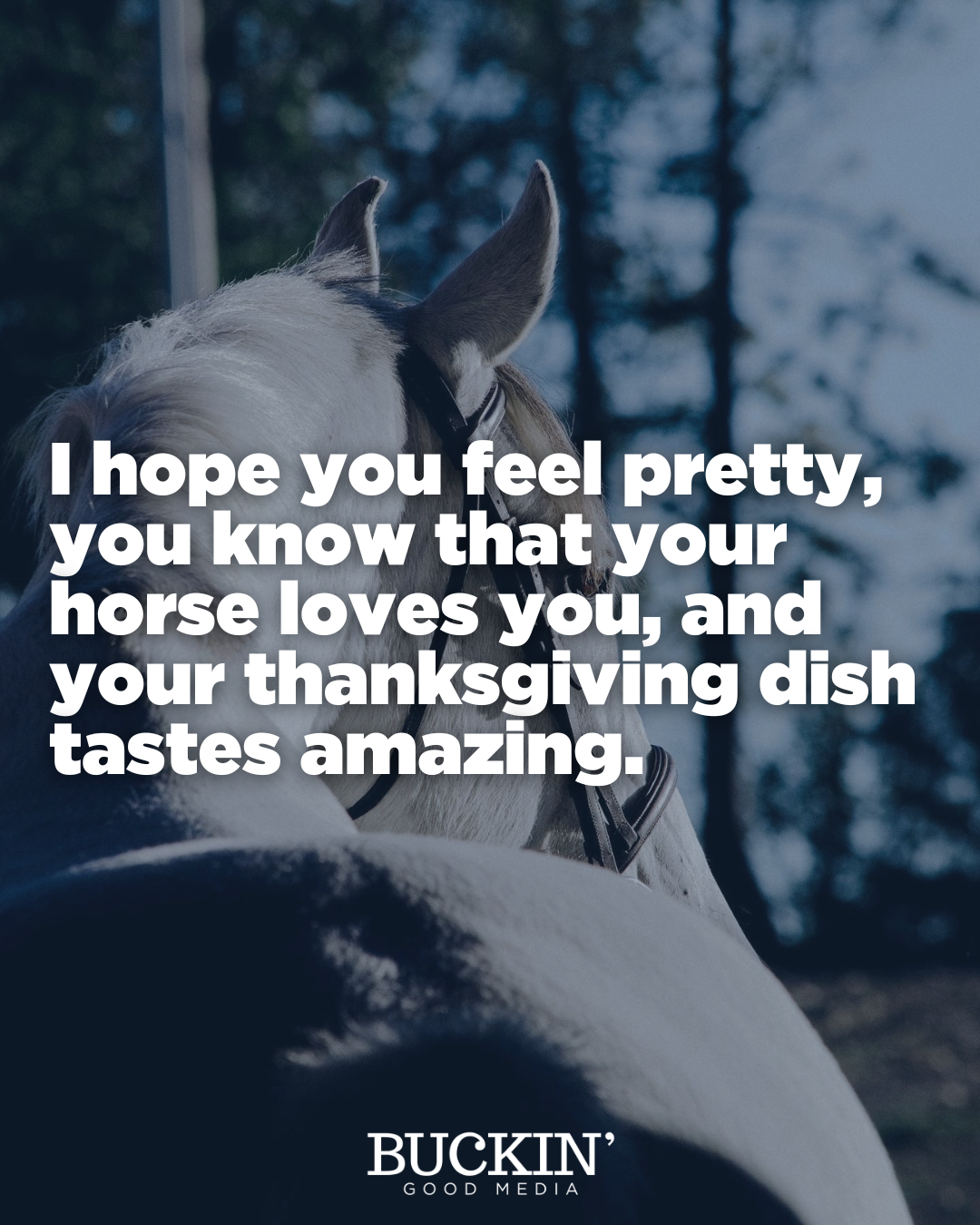 A white horse with a dark mane and ears, wearing a halter, looking forward with a blurred background of trees and snow.