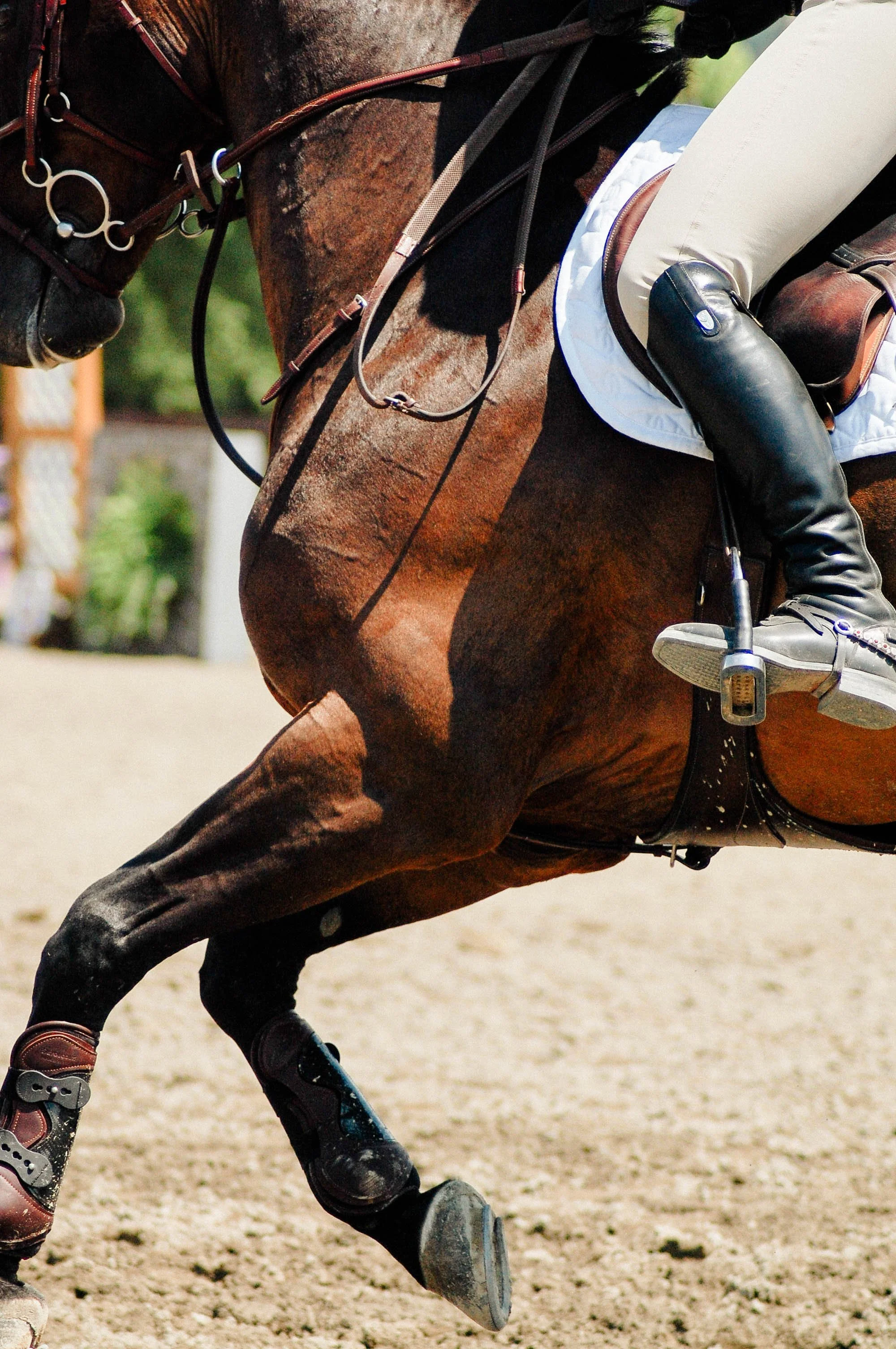 Close-up of a horse and rider during a riding event. The rider is wearing beige pants, black riding boots, and a jacket, with the horse equipped with harnesses and saddles. The horse is brown and in motion, lifting one front leg.