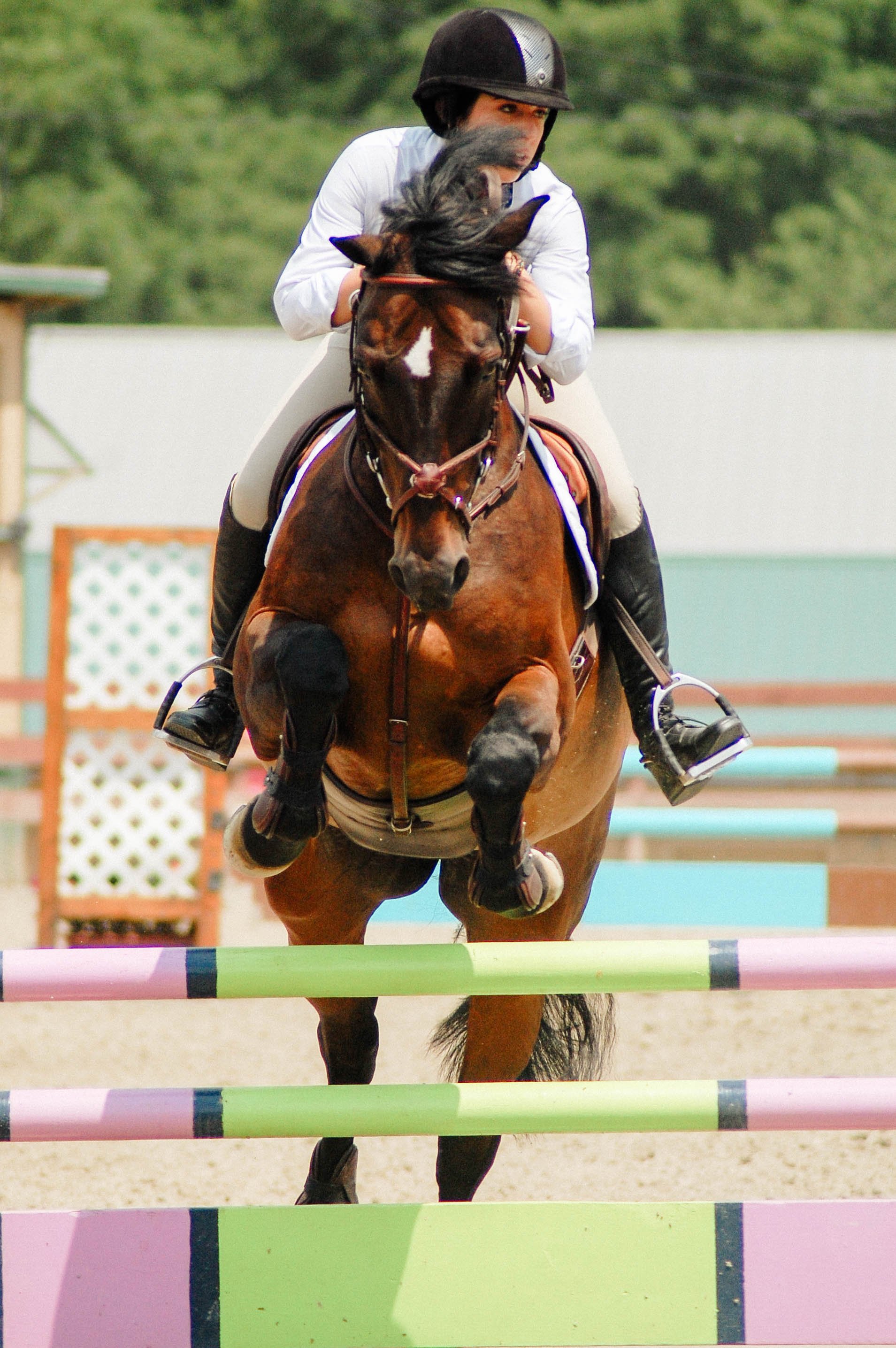 A person wearing a helmet riding a horse and jumping over a colorful obstacle in an equestrian event.