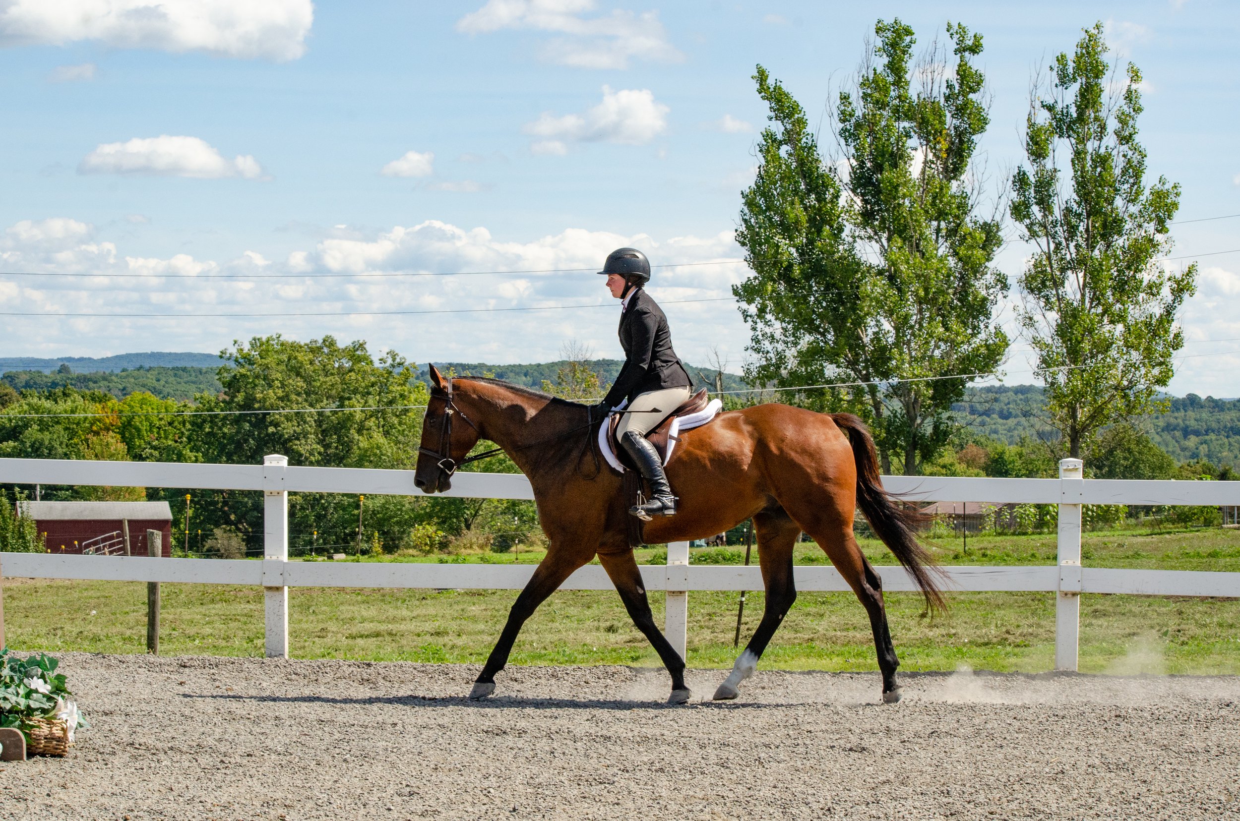 UNITYHORSESHOWDILUZIO-22.jpg