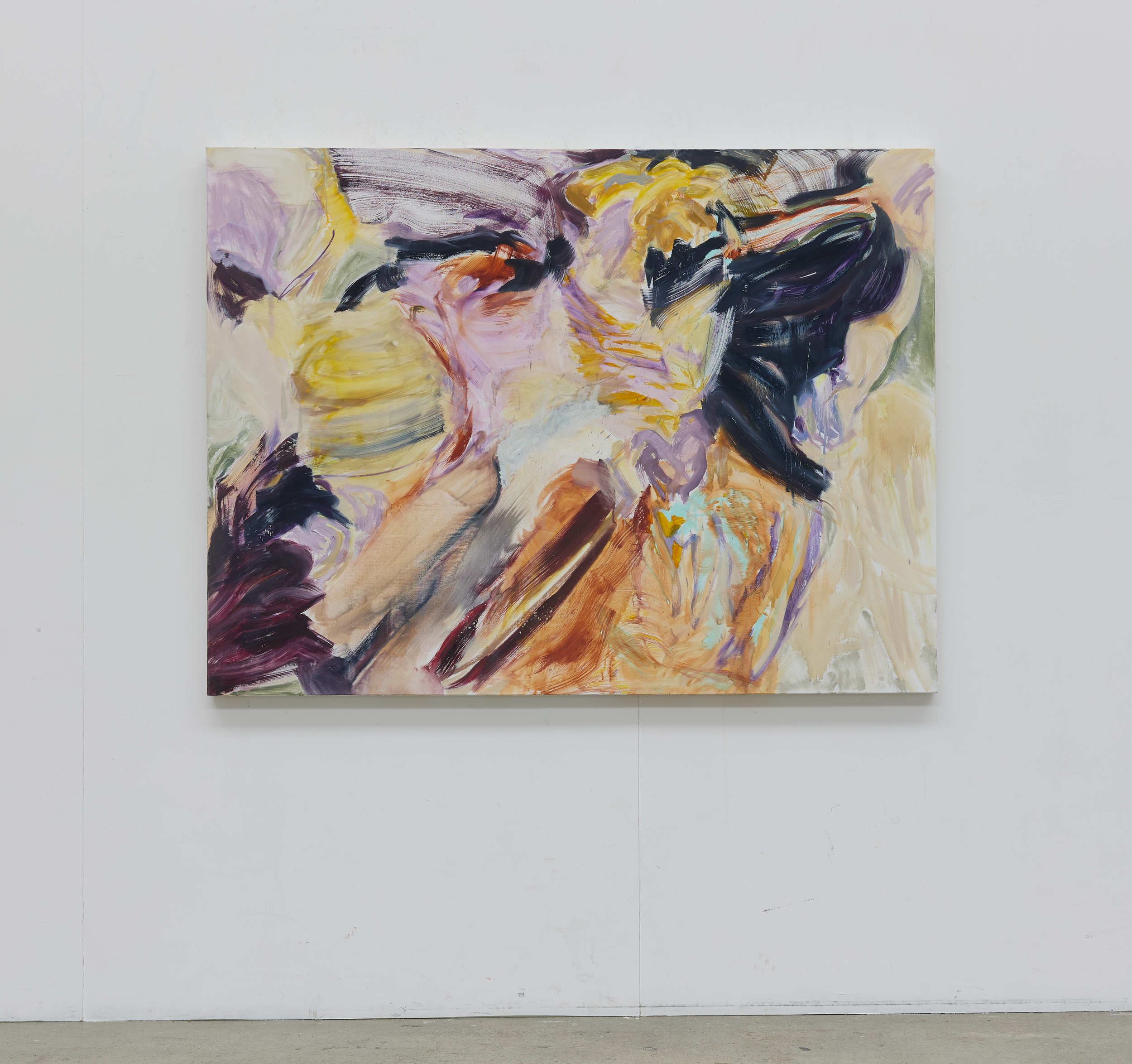 Hidden, 2026, oil, graphite, oil stick on canvas, 120 cm x 160 cm © Heather Ota