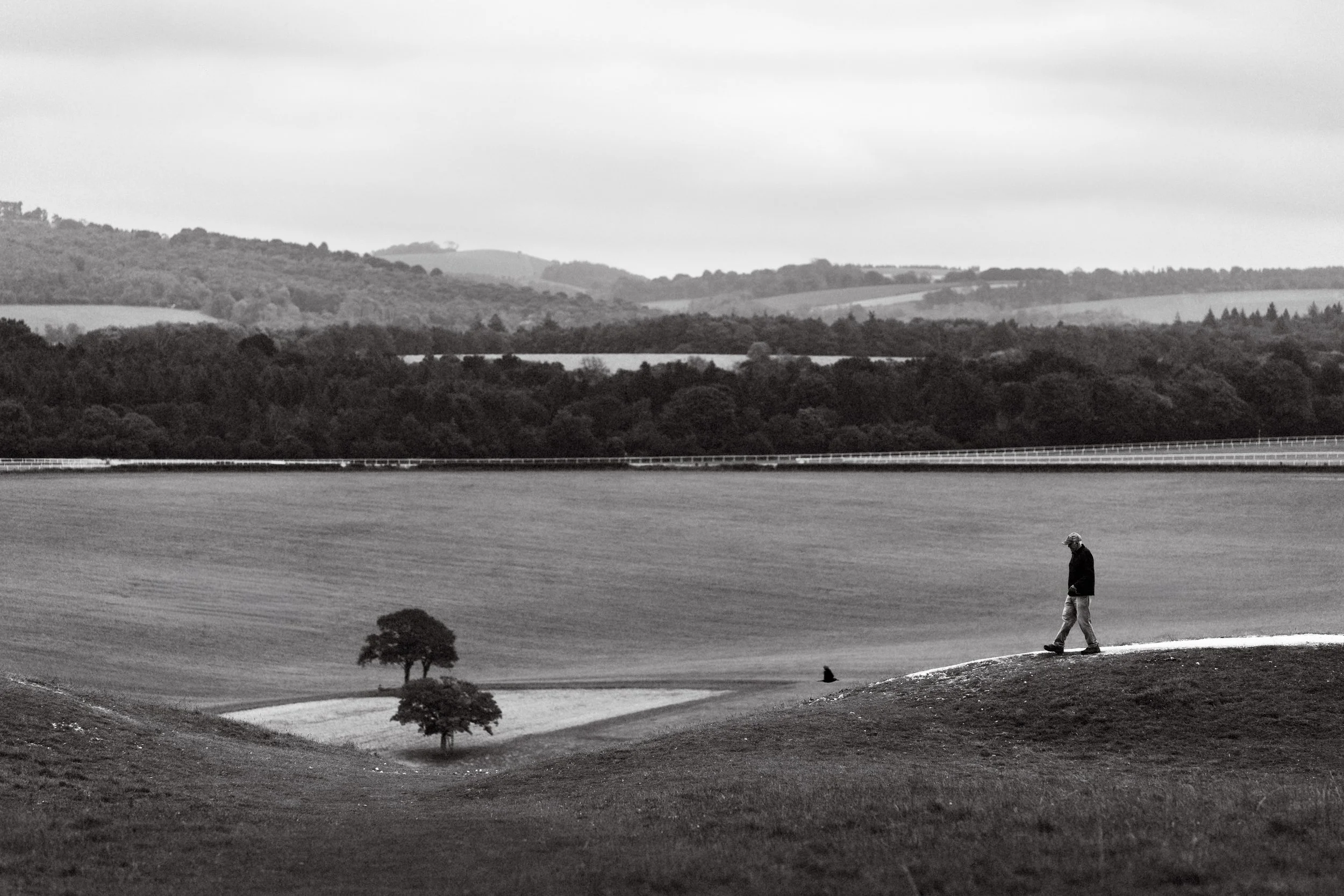 A person walking on a hill with grass, a tree, and a dog nearby, overlooking a body of water and rolling hills in the distance, in black and white. Fine Art Landscape Photography
